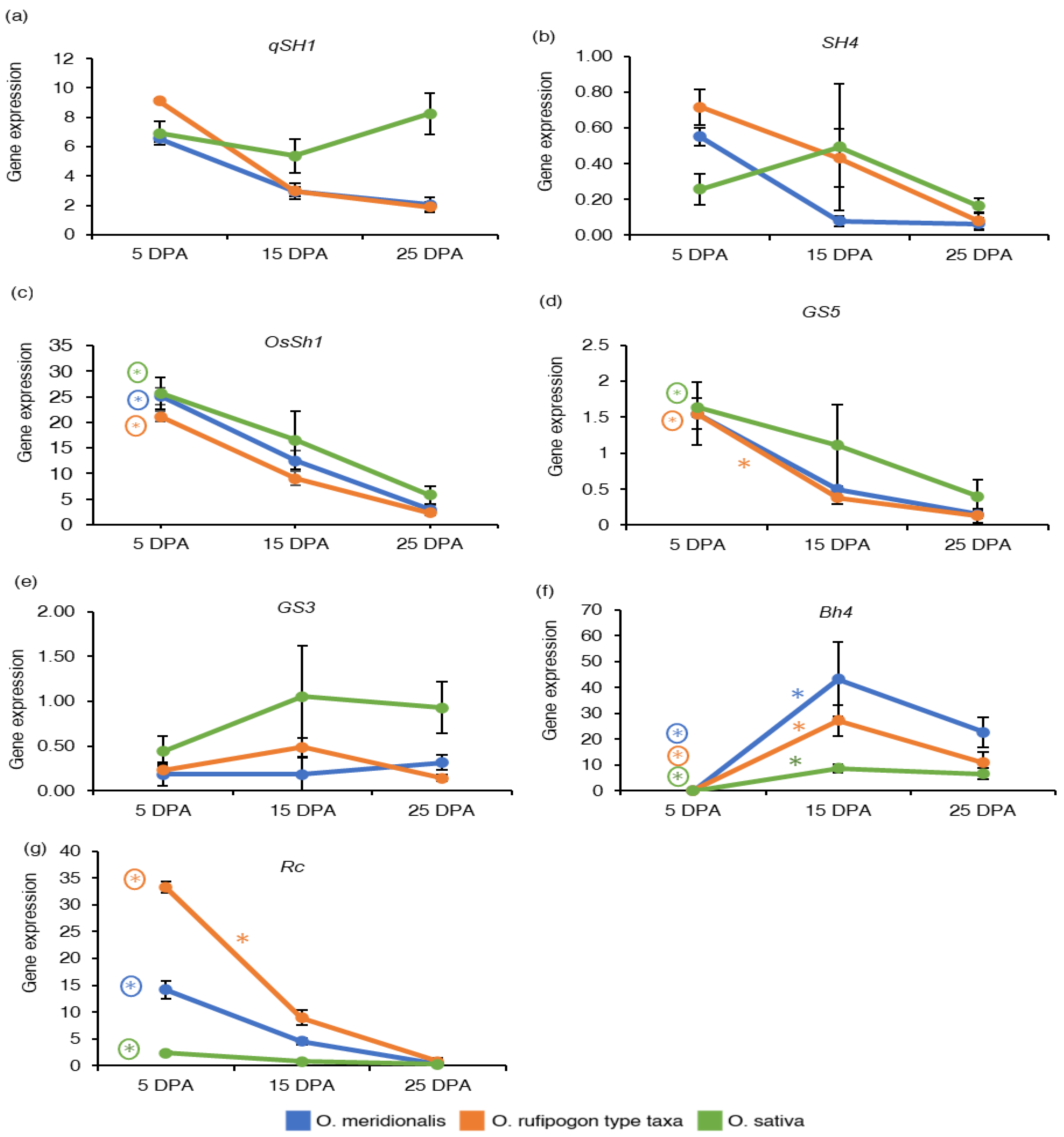 Ijms 23 13351 g002 Ijms 23 13351 g002