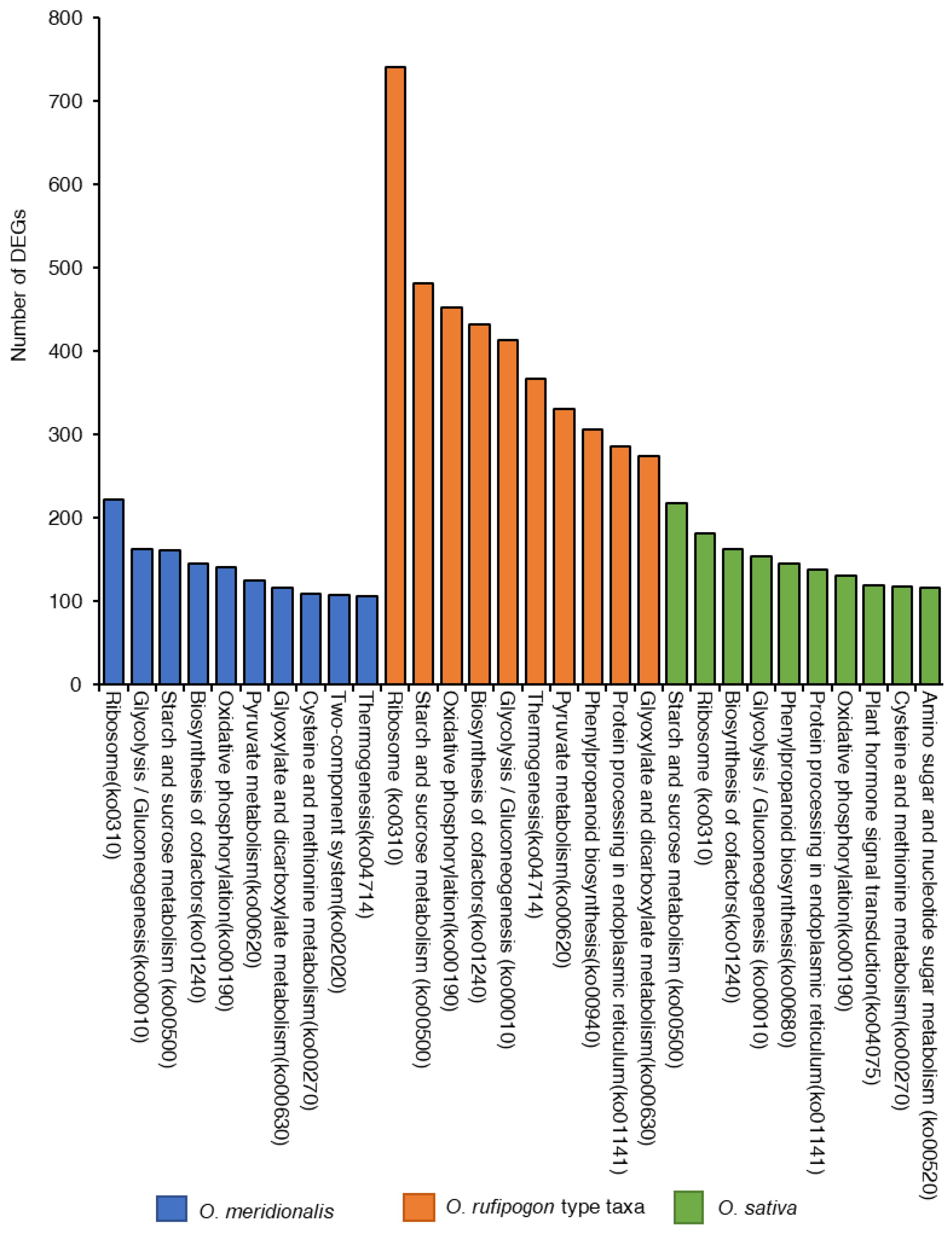 Ijms 23 13351 g005 Ijms 23 13351 g005