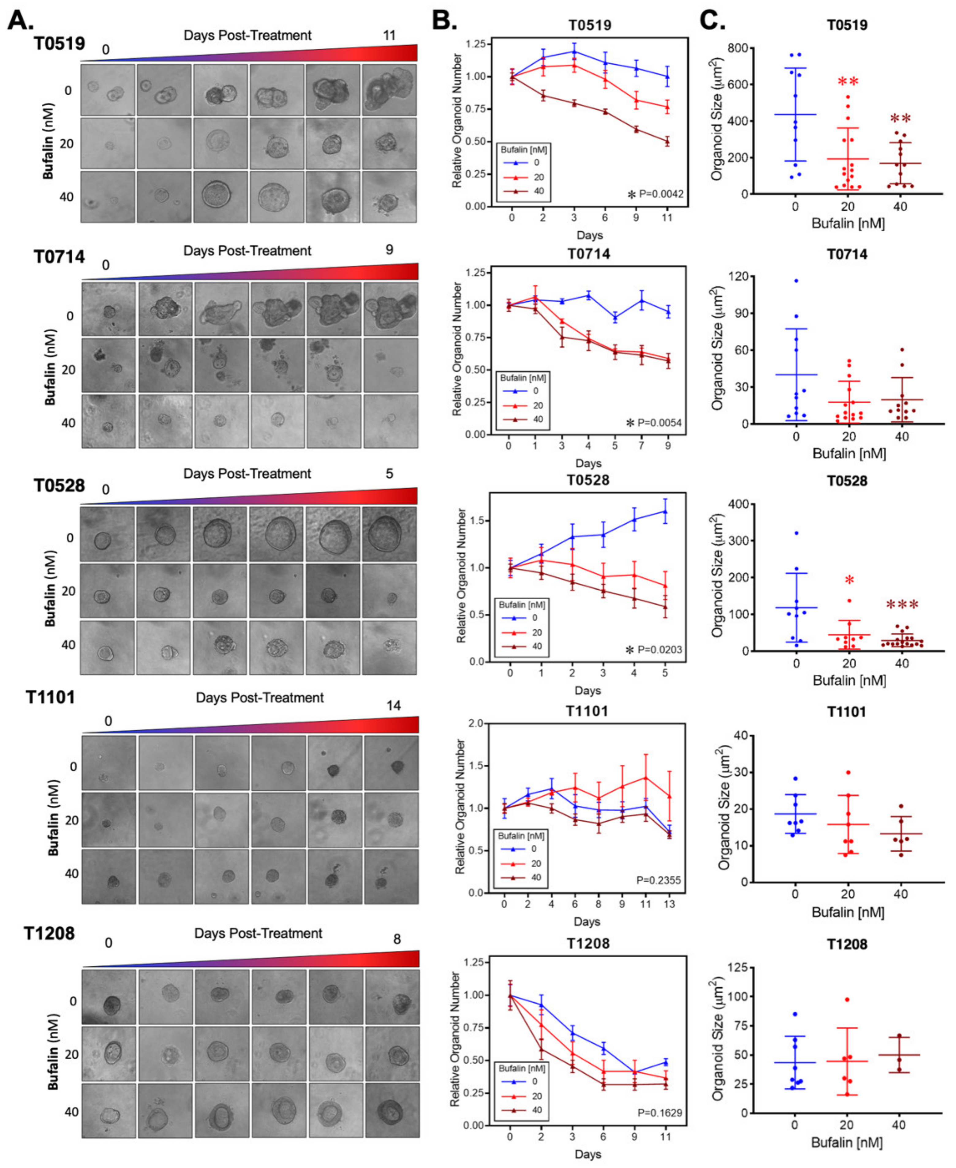 Ijms 23 13354 g005 Ijms 23 13354 g005