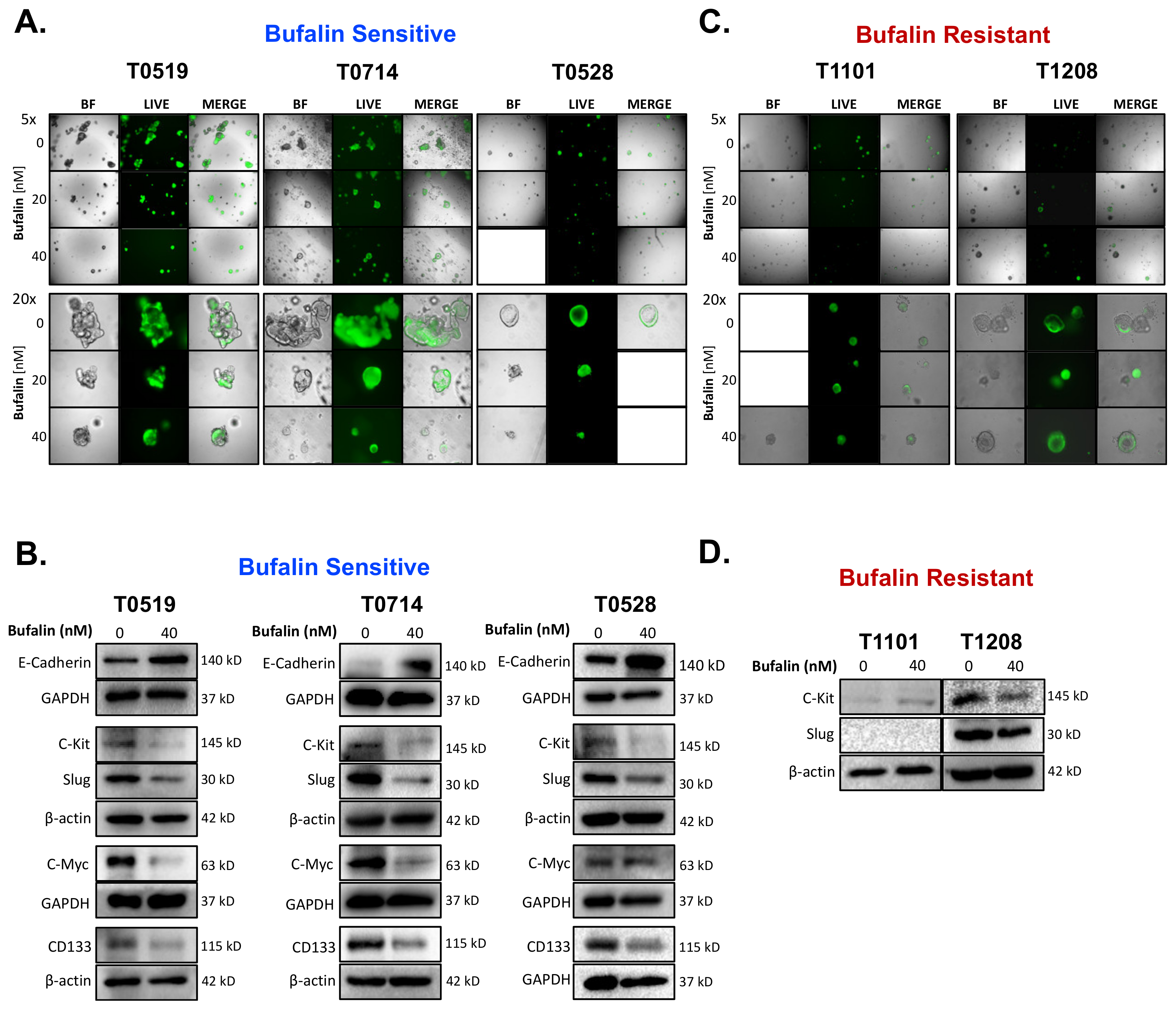 Ijms 23 13354 g006 Ijms 23 13354 g006