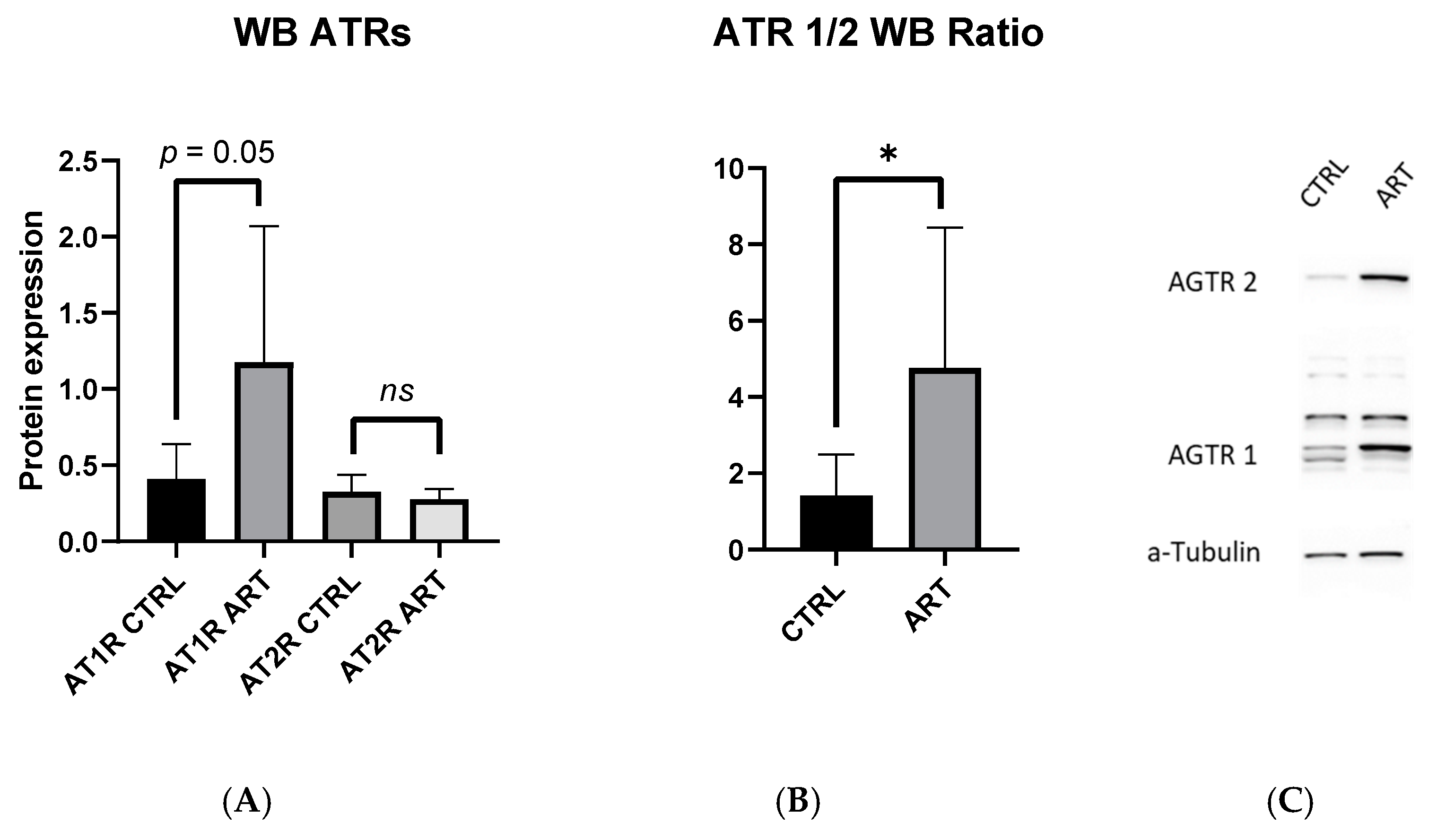 Ijms 23 13357 g002 Ijms 23 13357 g002