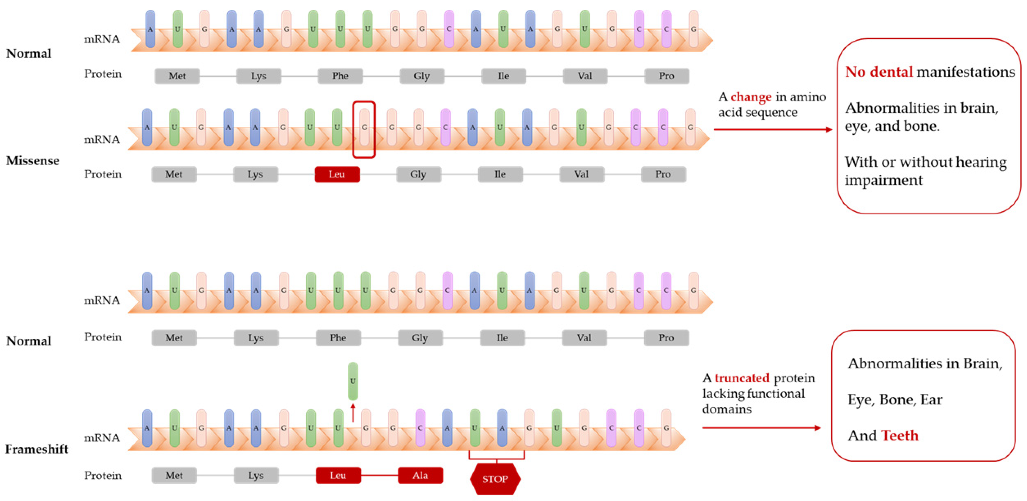 Ijms 23 13370 g004 Ijms 23 13370 g004