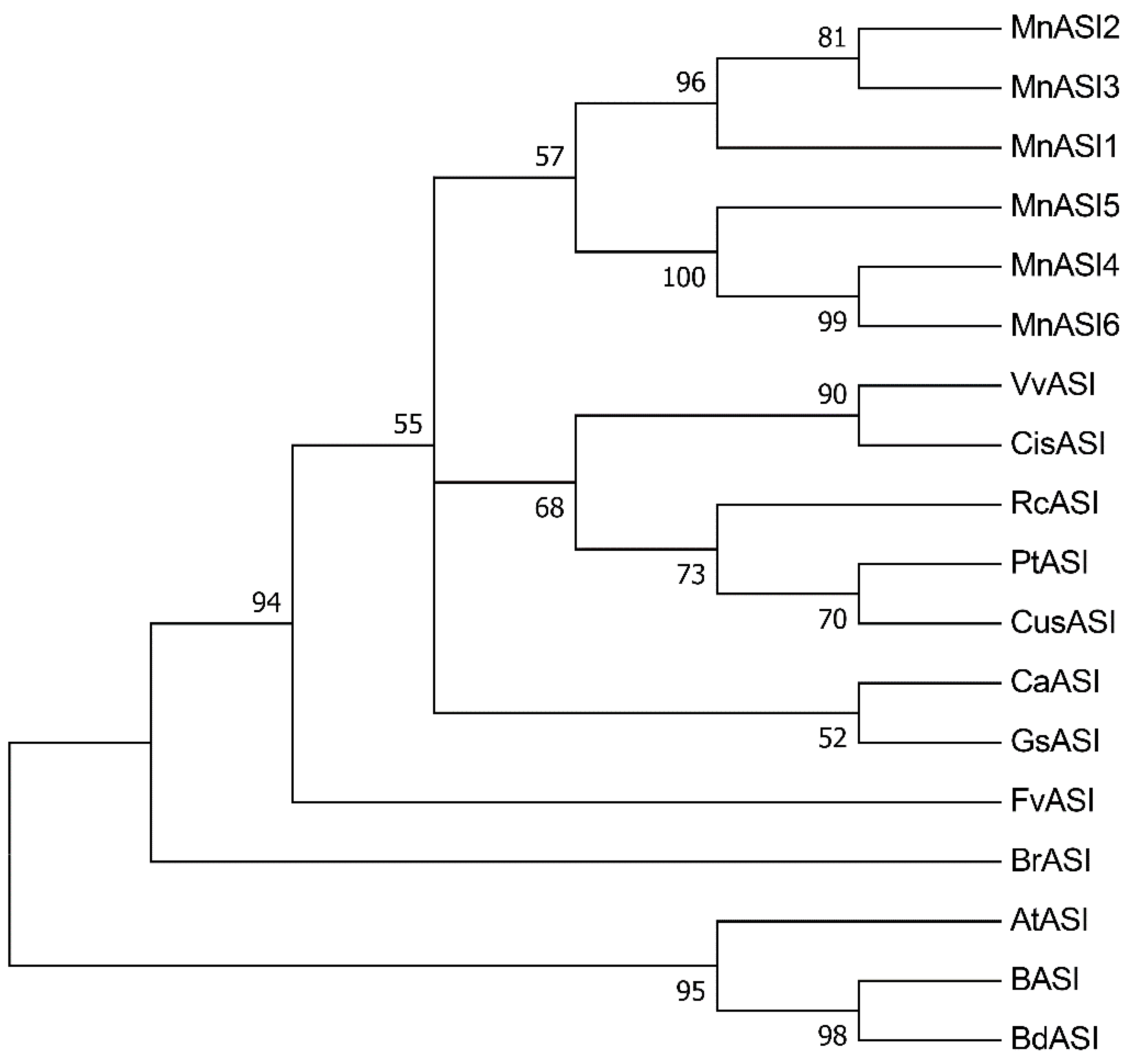 Ijms 23 13372 g002 Ijms 23 13372 g002