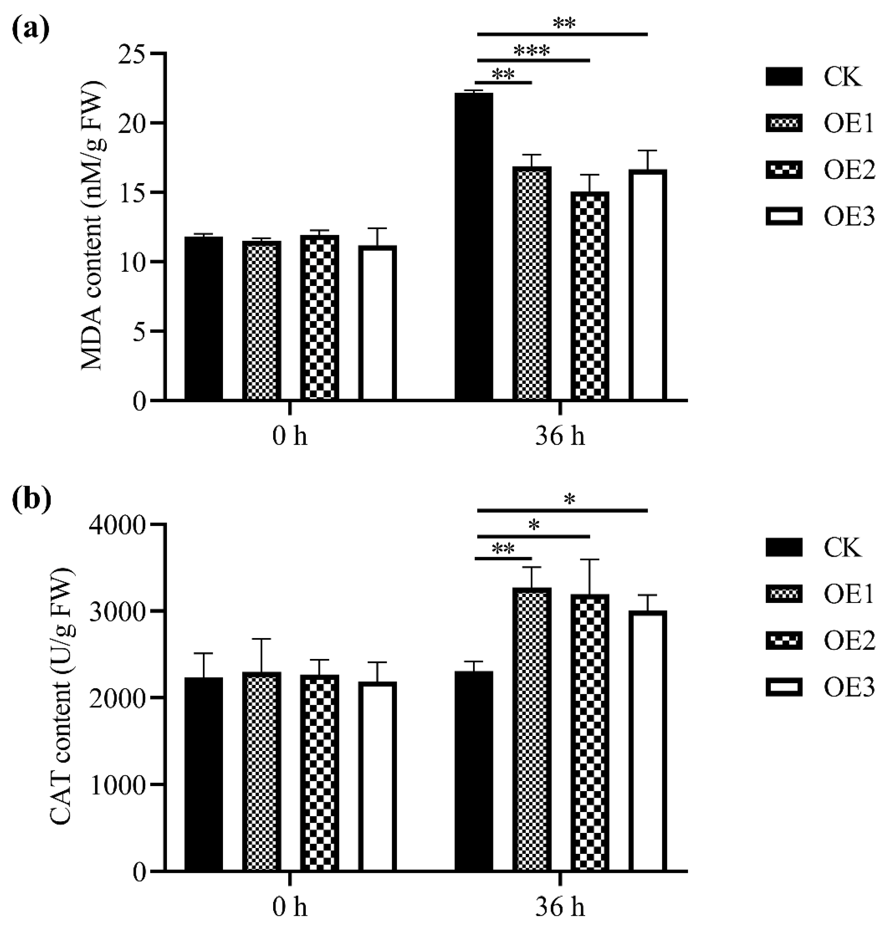 Ijms 23 13372 g006 Ijms 23 13372 g006