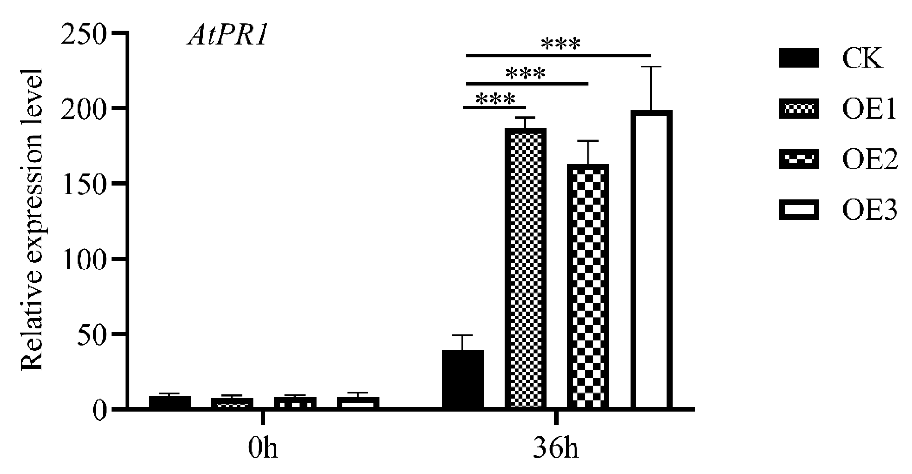 Ijms 23 13372 g008 Ijms 23 13372 g008