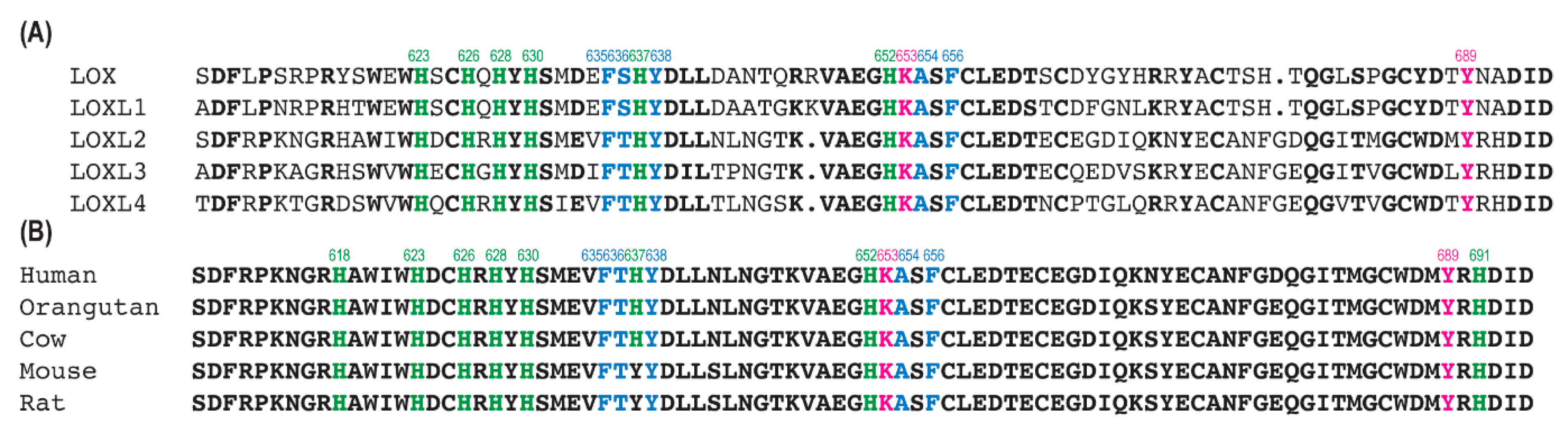 Ijms 23 13385 g004 Ijms 23 13385 g004