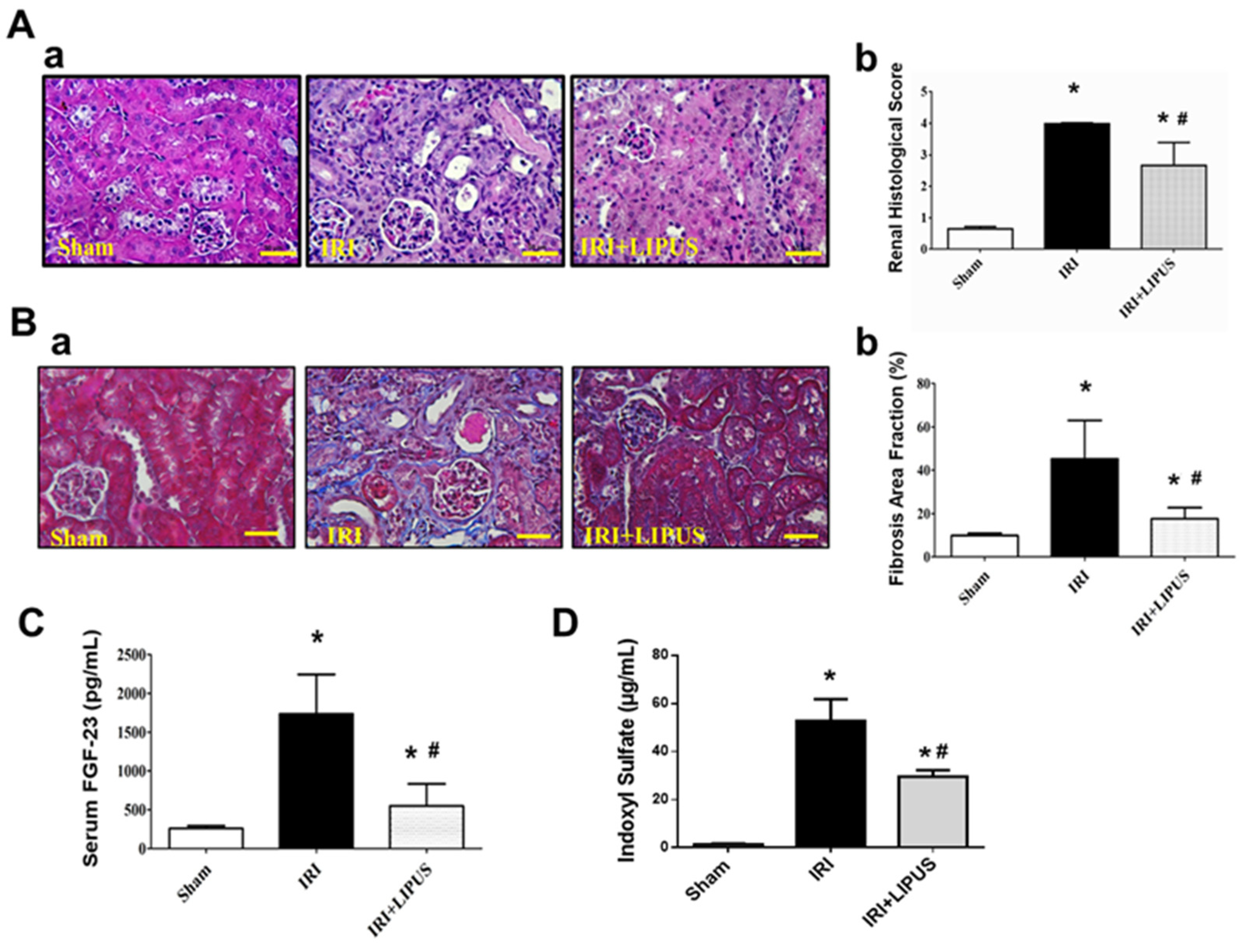 Ijms 23 13387 g002 Ijms 23 13387 g002