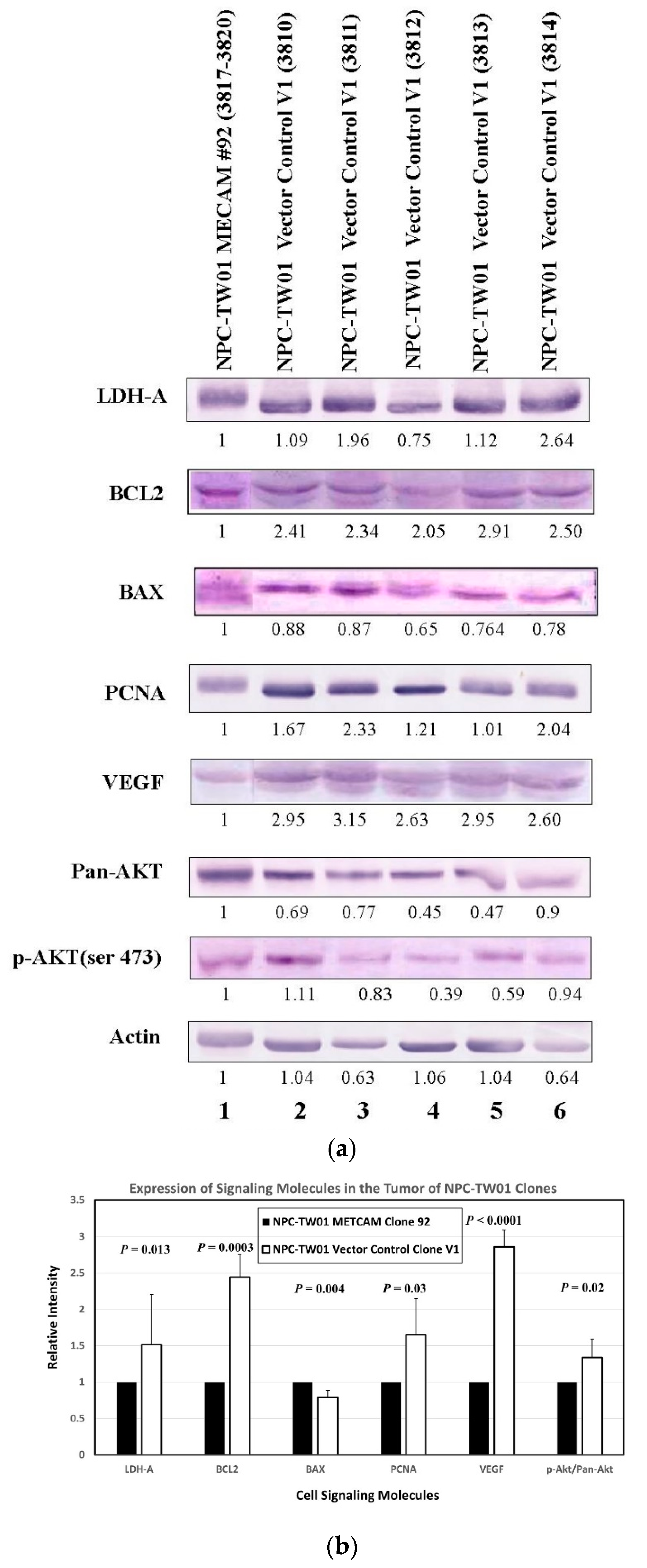 Ijms 23 13389 g007 Ijms 23 13389 g007