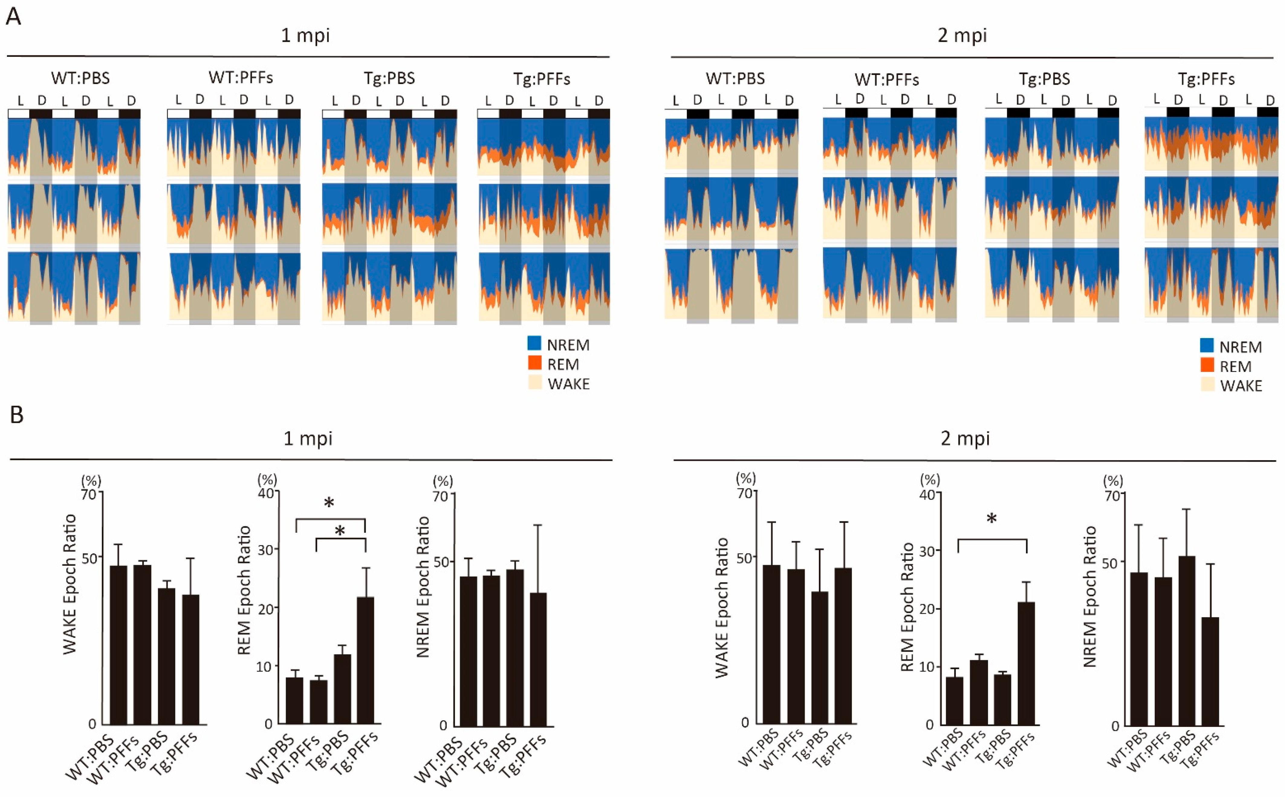 Ijms 23 13390 g001 Ijms 23 13390 g001