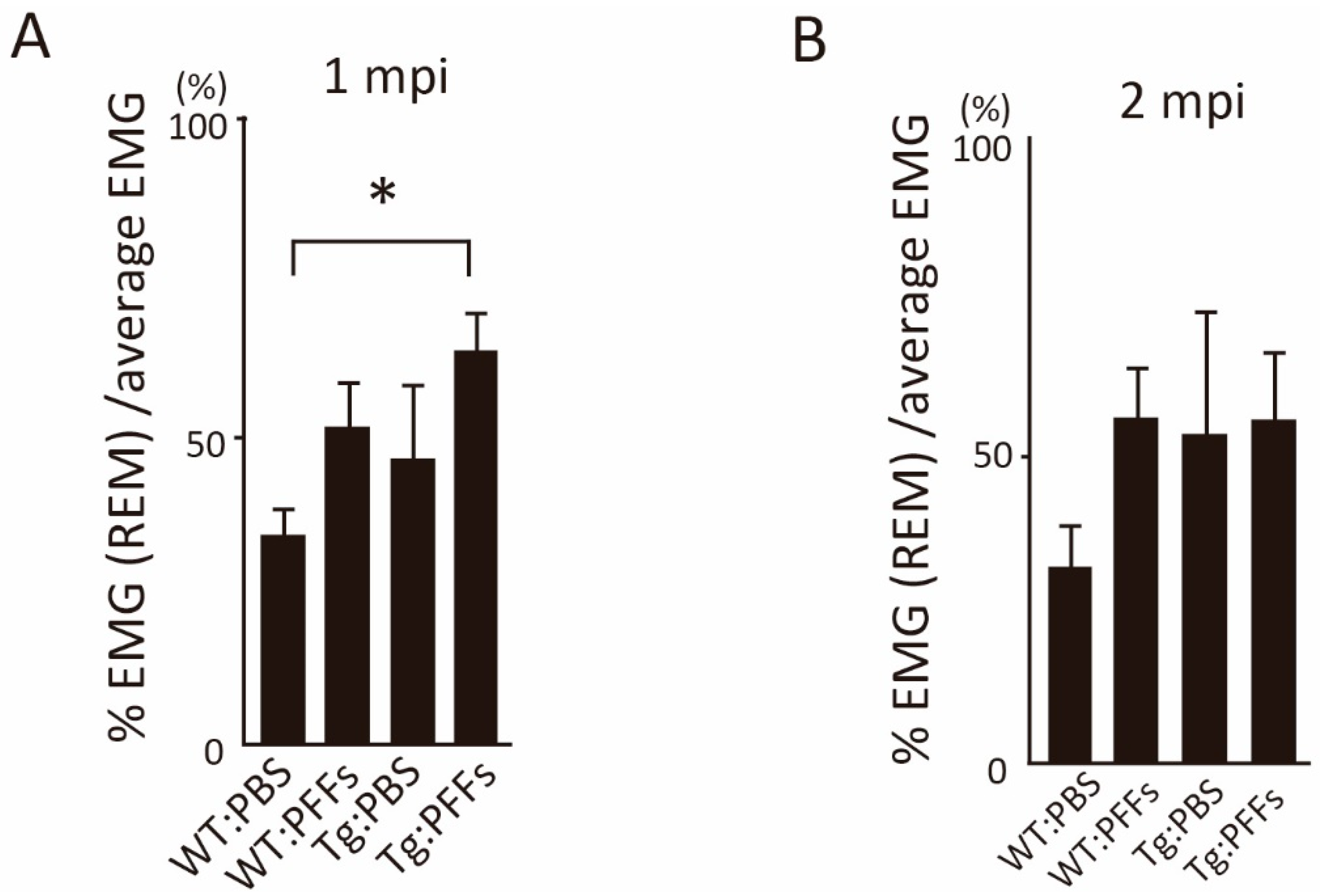 Ijms 23 13390 g002 Ijms 23 13390 g002