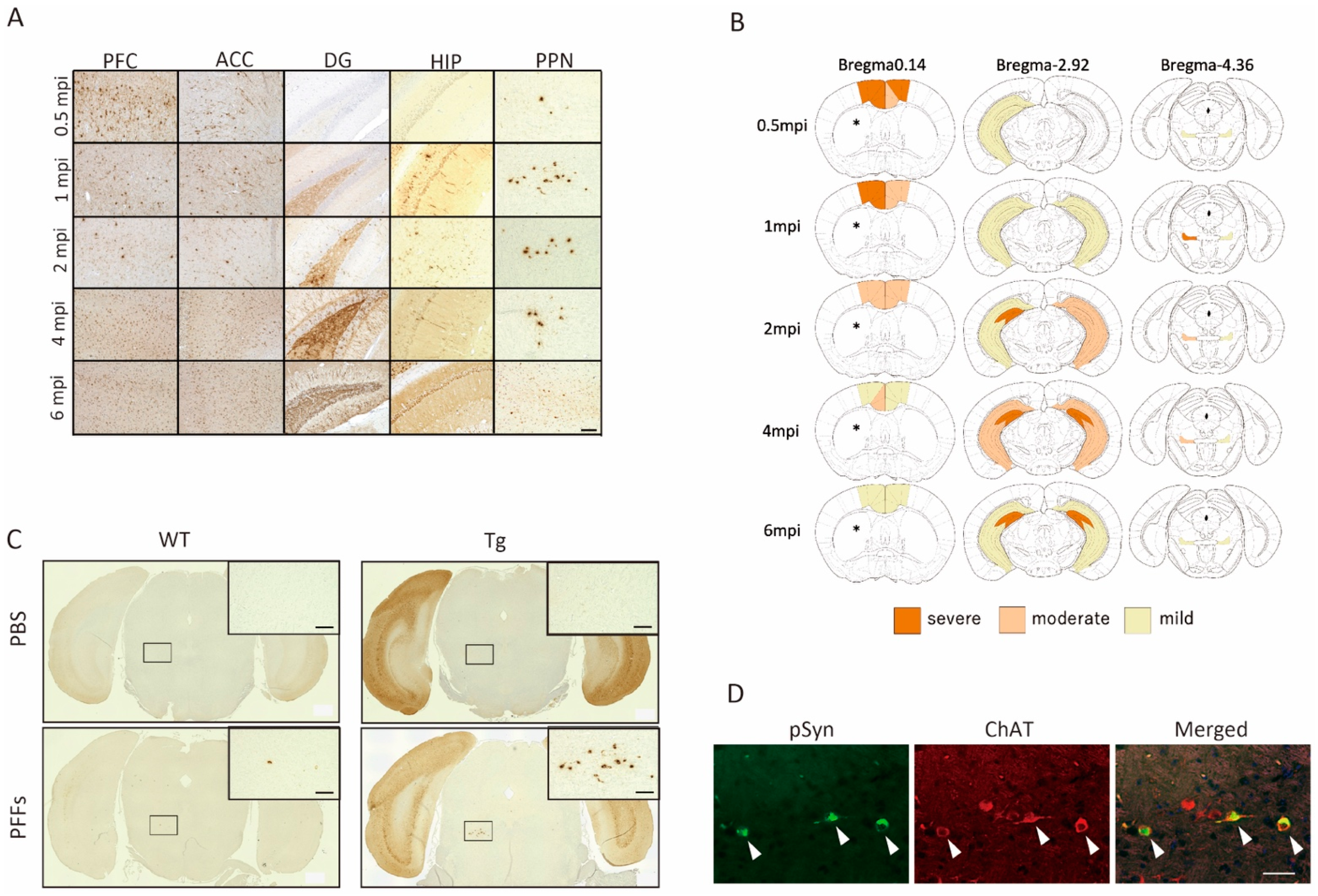 Ijms 23 13390 g003 Ijms 23 13390 g003