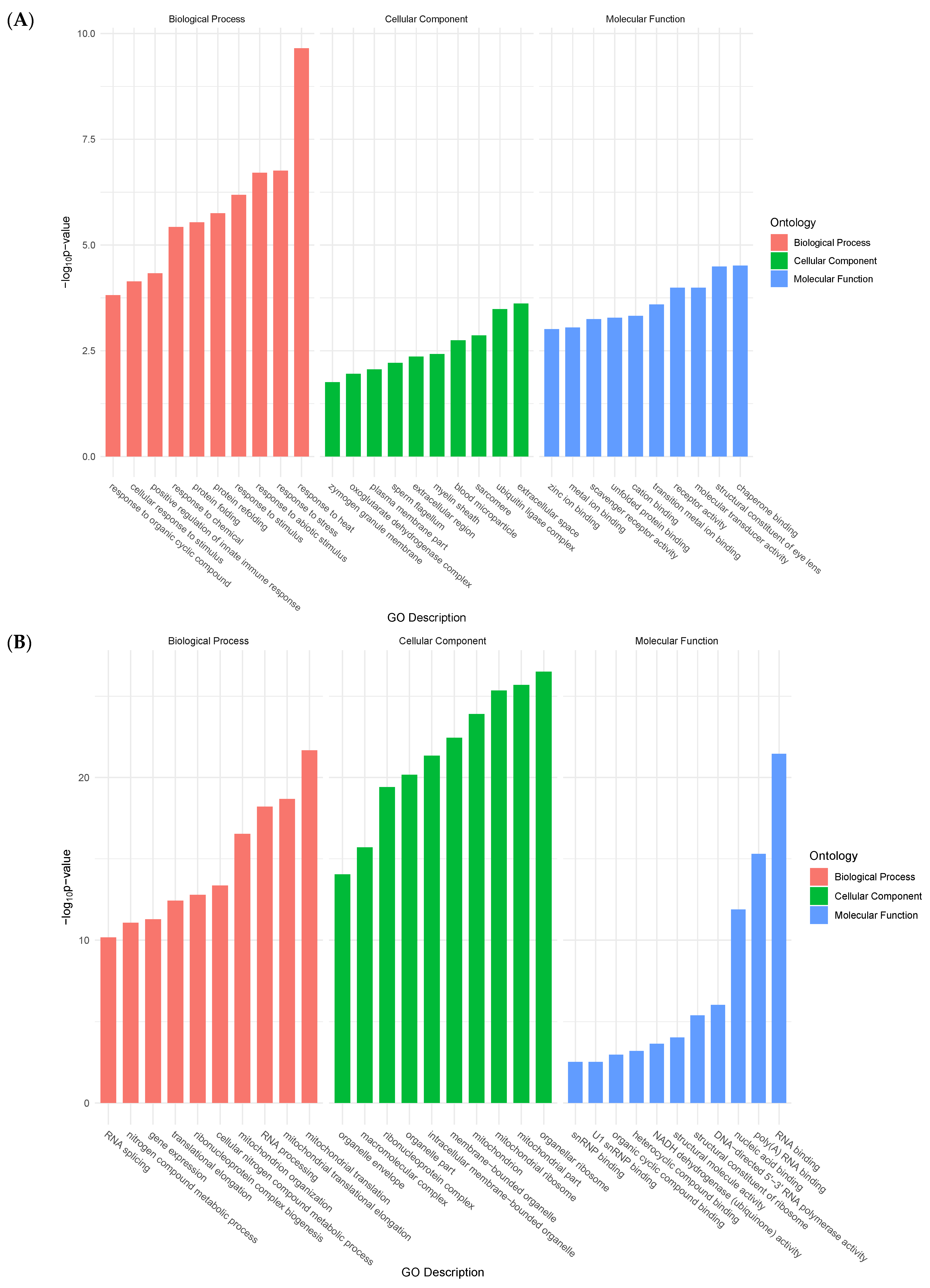 Ijms 23 13393 g002 Ijms 23 13393 g002
