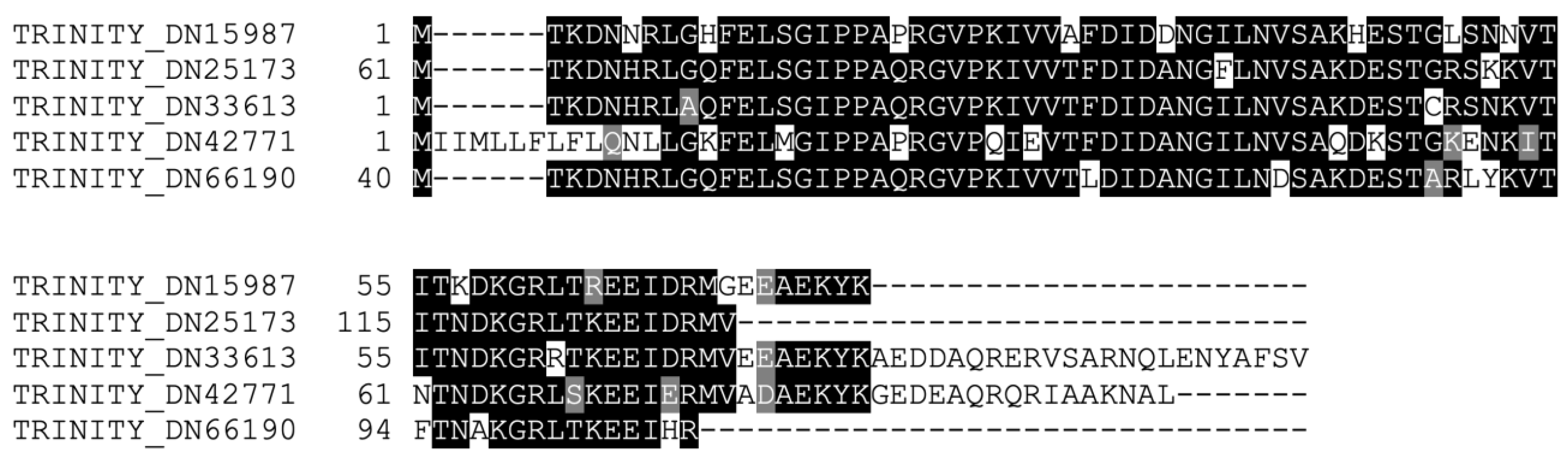 Ijms 23 13393 g004 Ijms 23 13393 g004