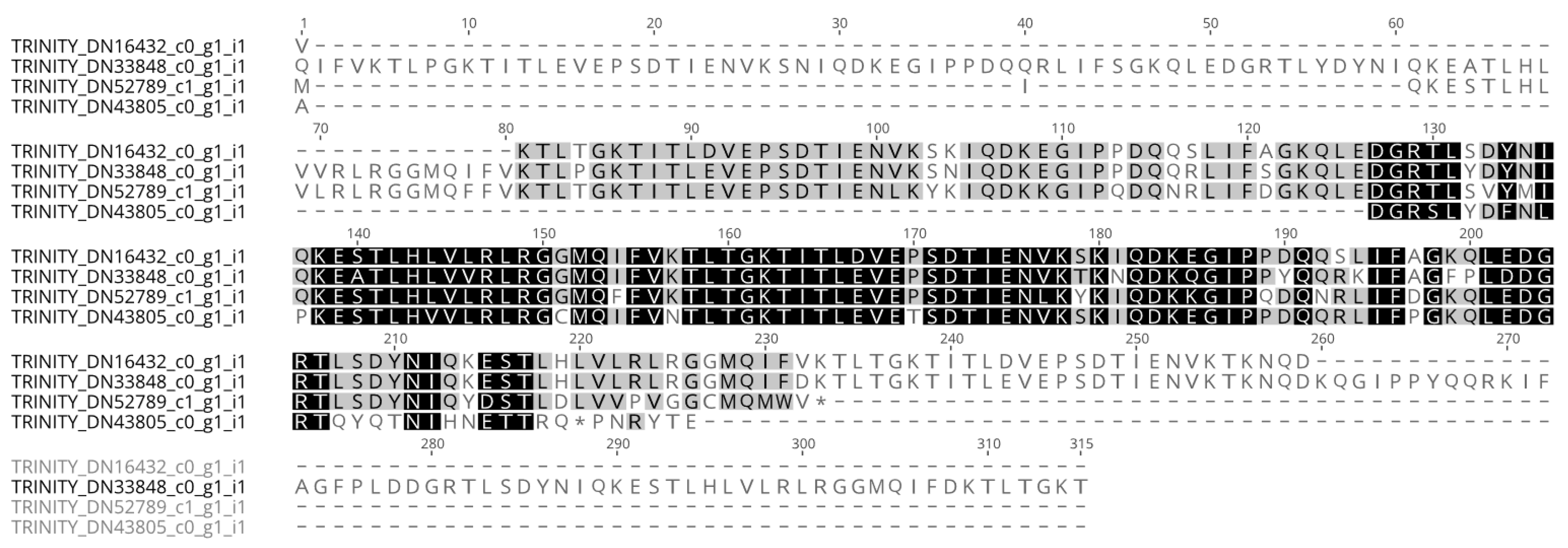 Ijms 23 13393 g005 Ijms 23 13393 g005