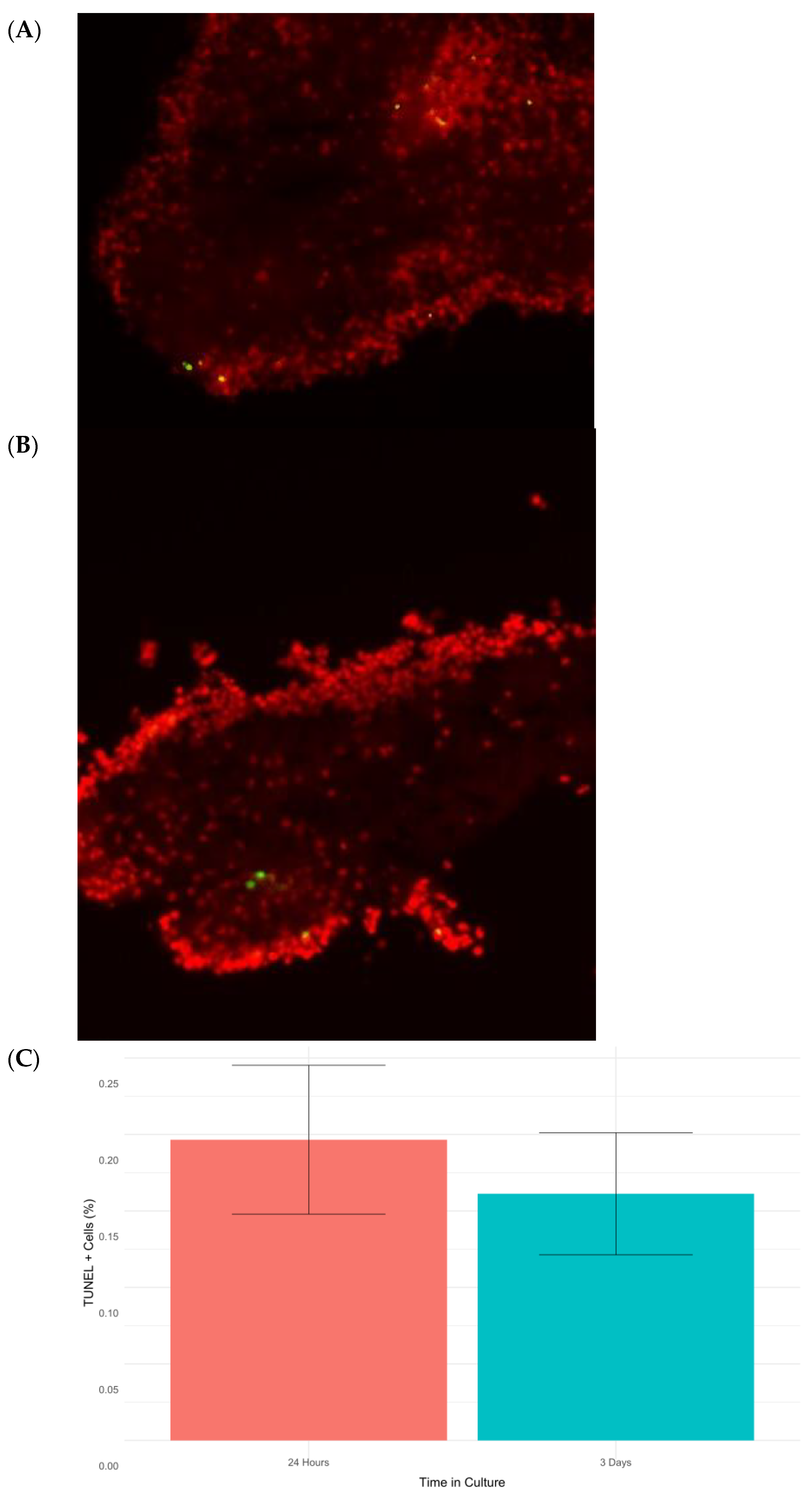 Ijms 23 13393 g006 Ijms 23 13393 g006