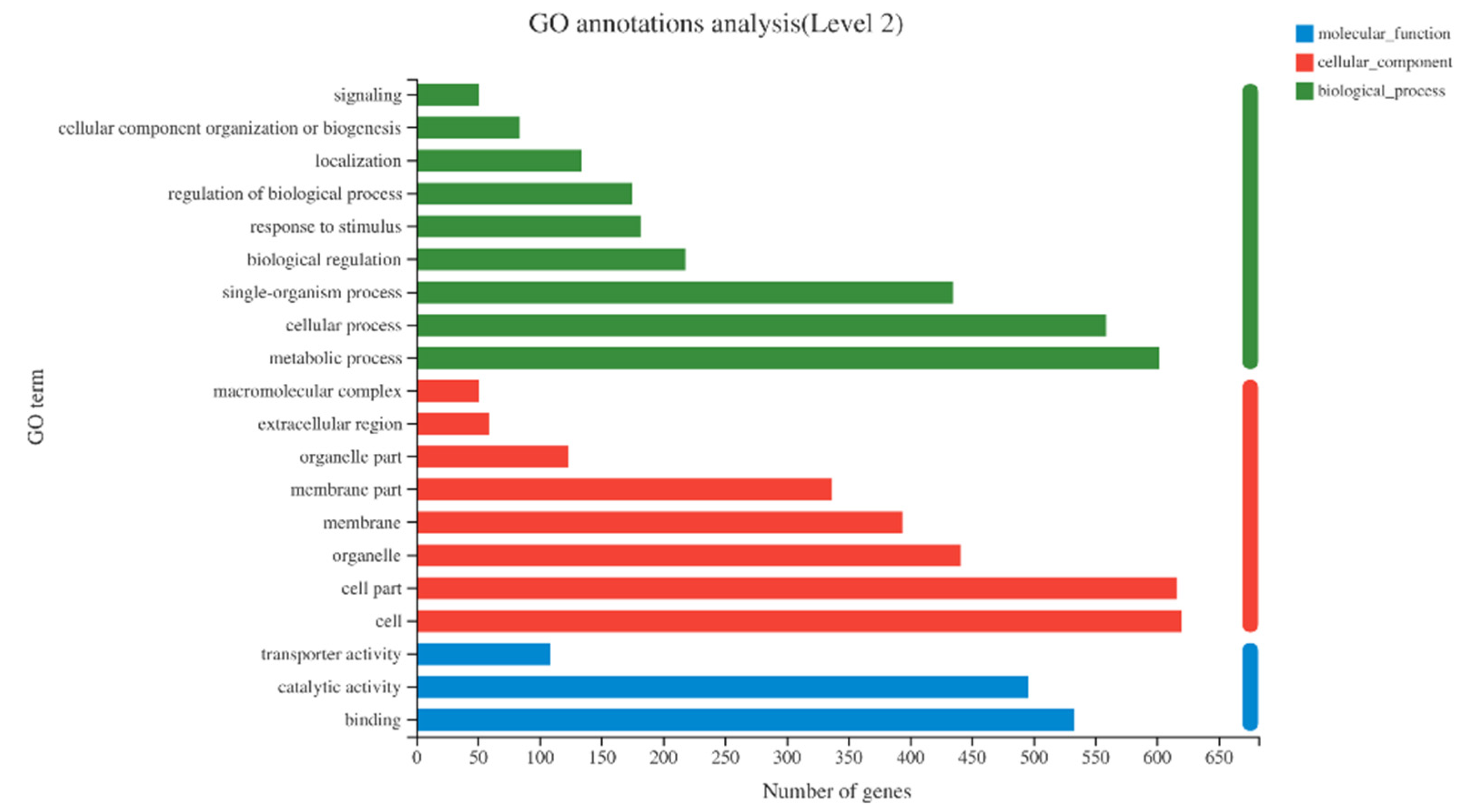 Ijms 23 13396 g004 Ijms 23 13396 g004
