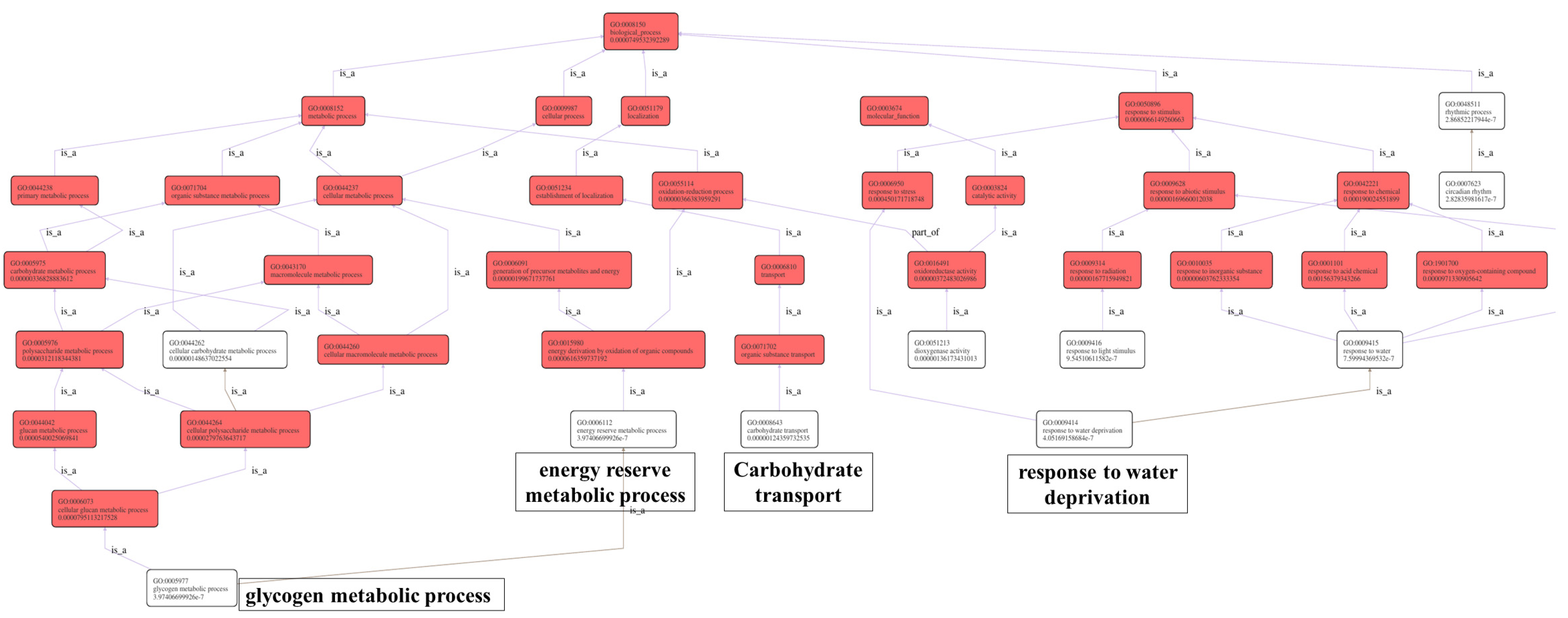 Ijms 23 13396 g006 Ijms 23 13396 g006
