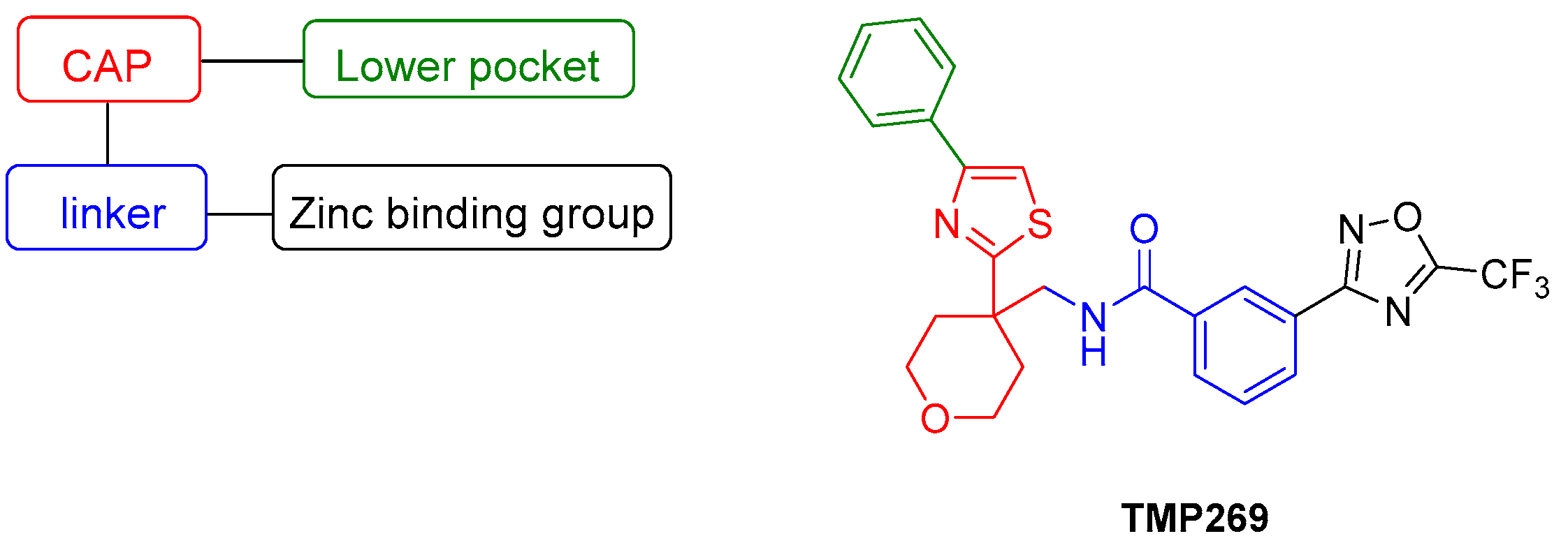 Ijms 23 13398 g001 Ijms 23 13398 g001