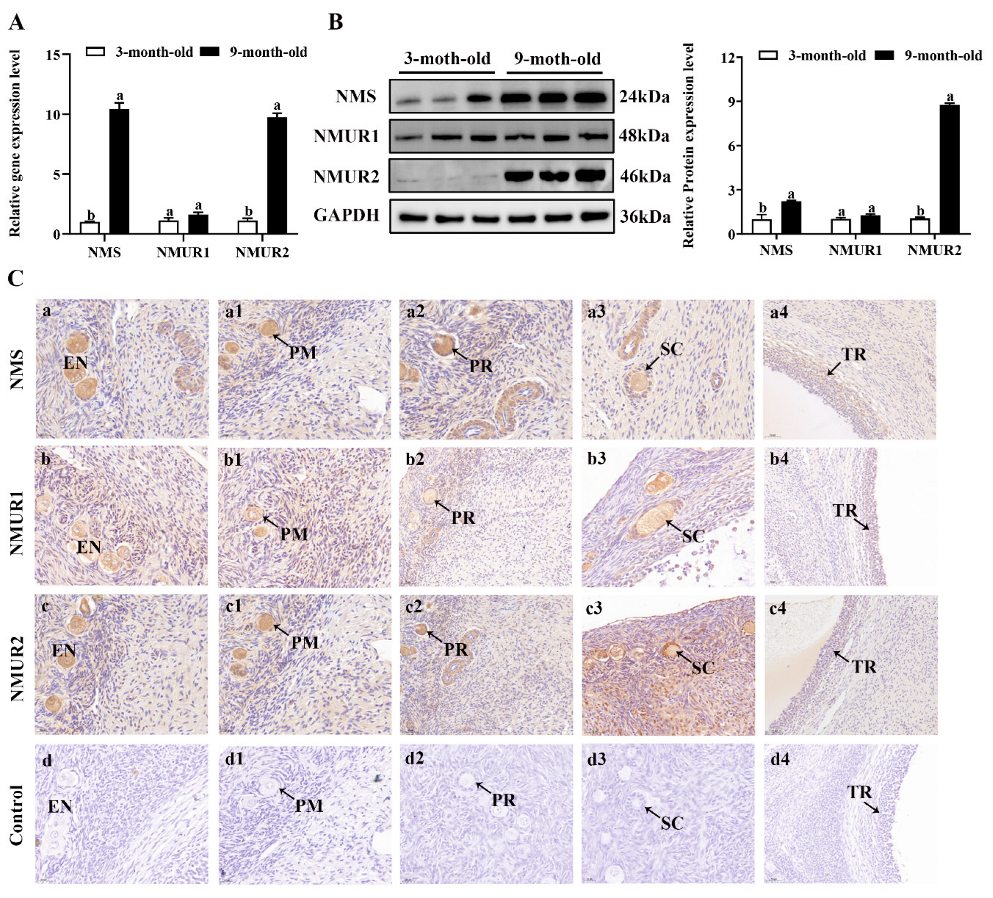Ijms 23 13402 g002a Ijms 23 13402 g002a