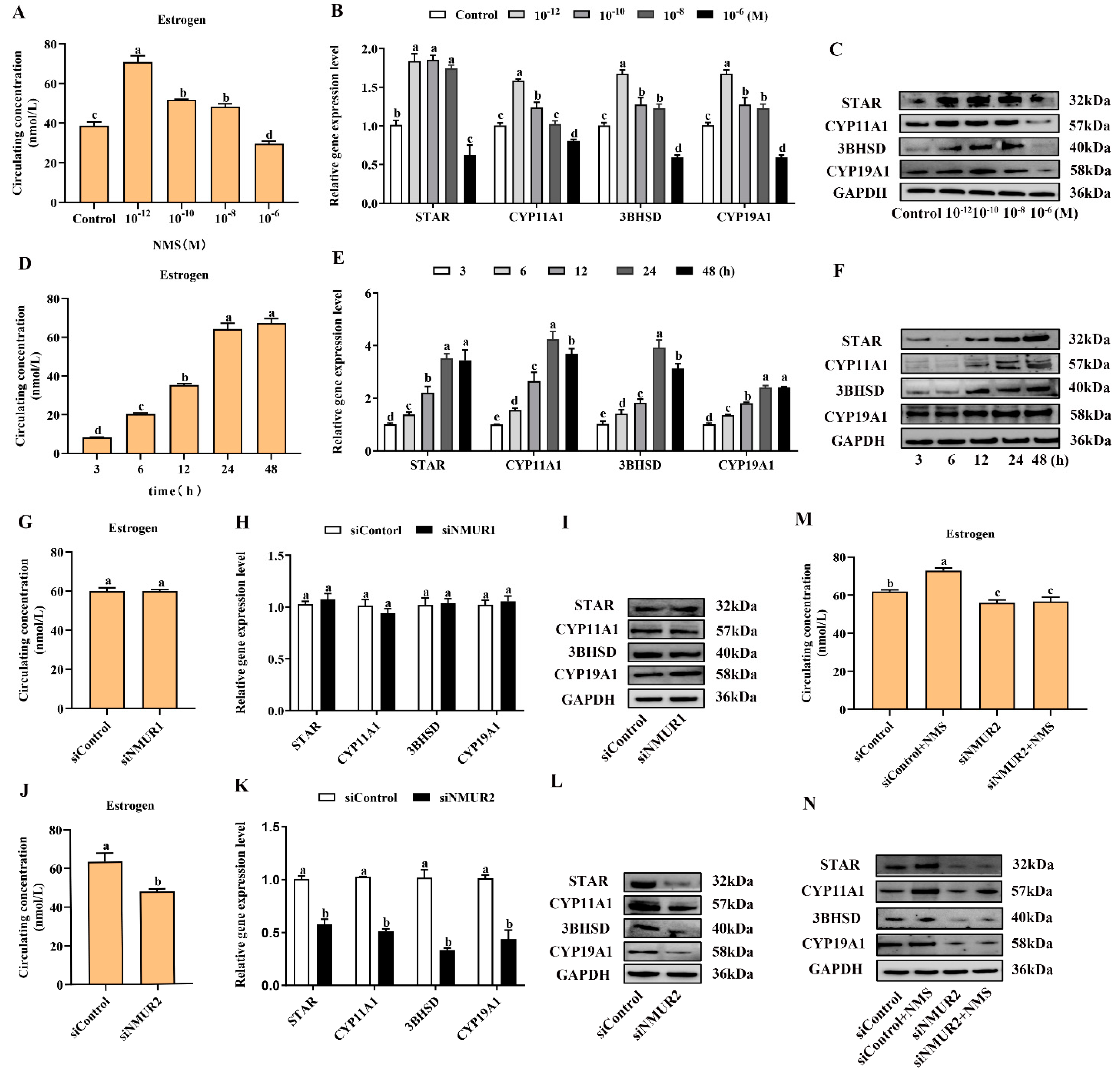 Ijms 23 13402 g003 Ijms 23 13402 g003