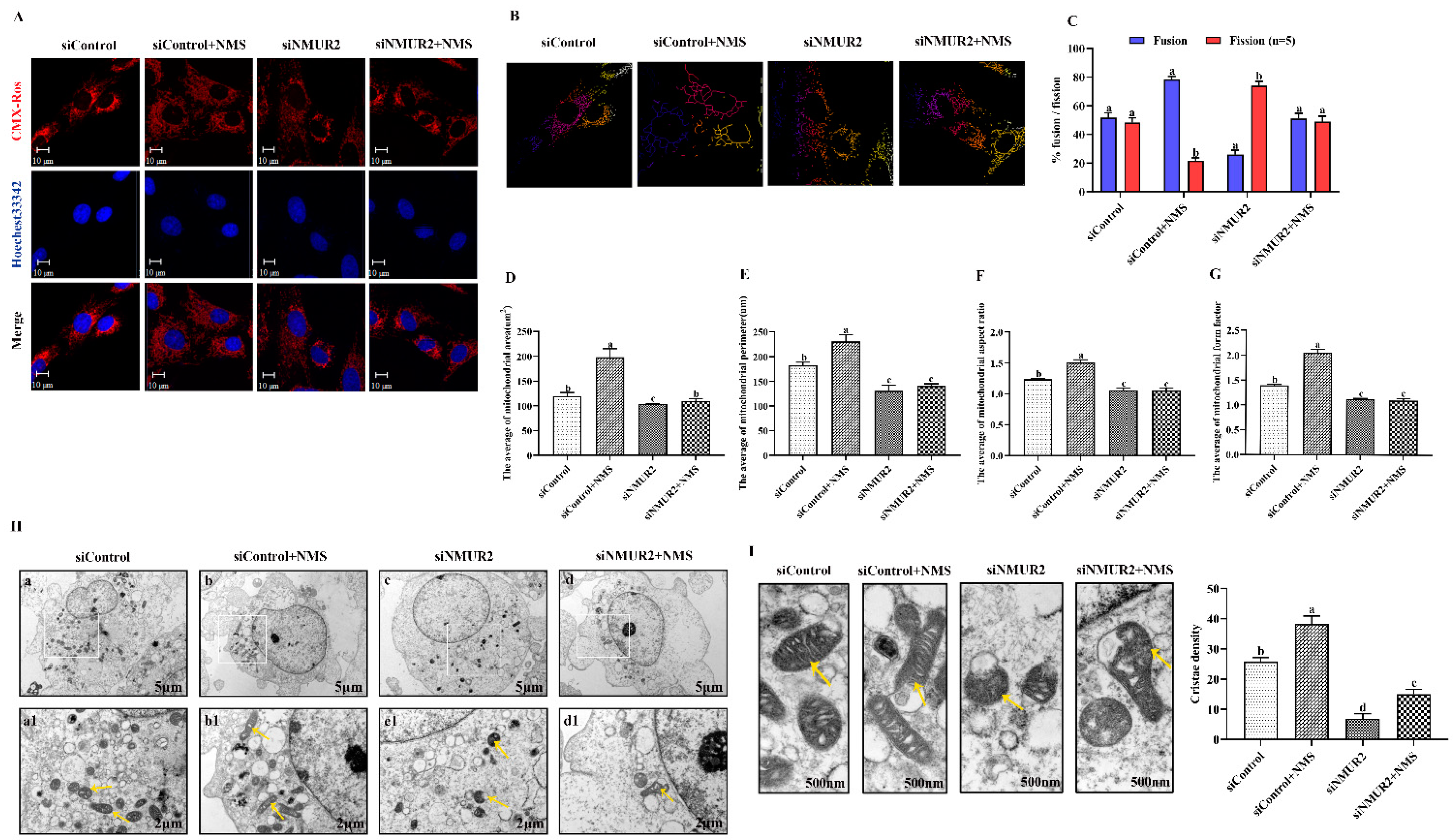 Ijms 23 13402 g004a Ijms 23 13402 g004a