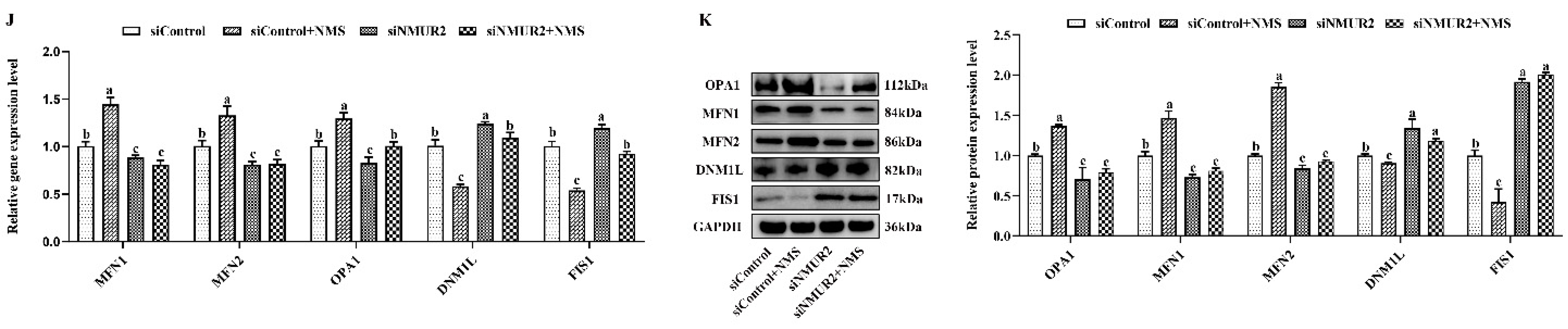 Ijms 23 13402 g004b Ijms 23 13402 g004b