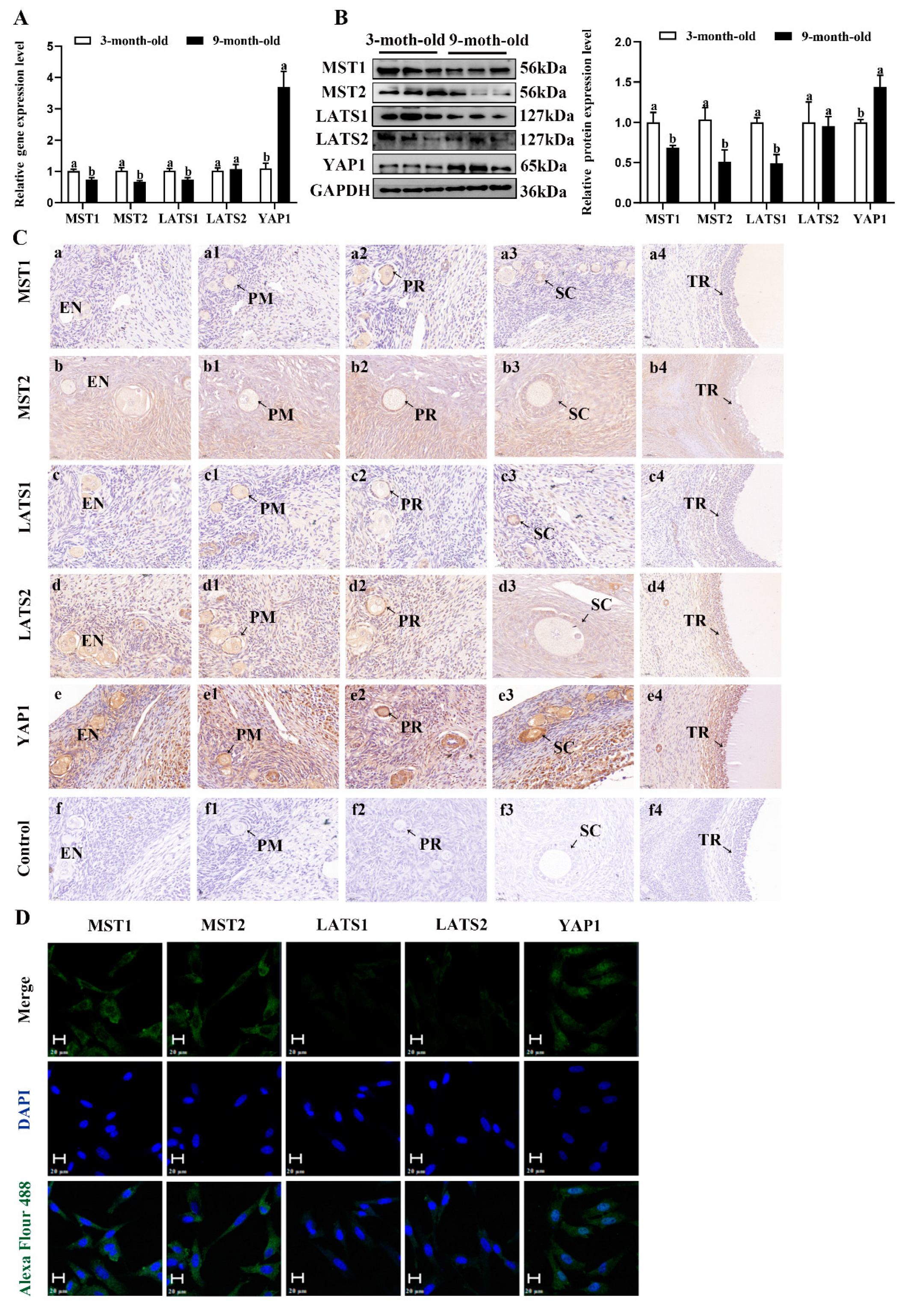 Ijms 23 13402 g006a Ijms 23 13402 g006a