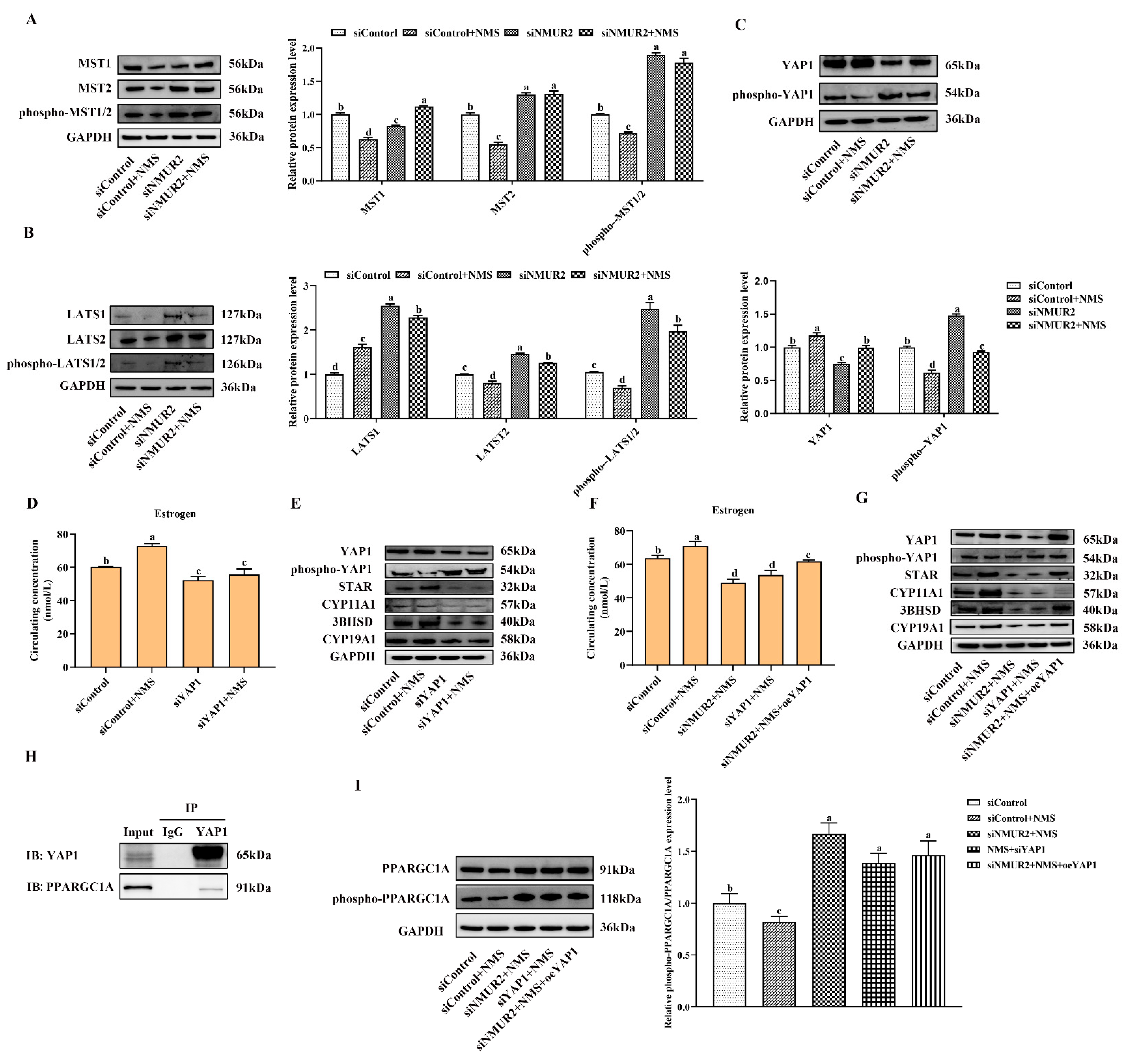 Ijms 23 13402 g007 Ijms 23 13402 g007