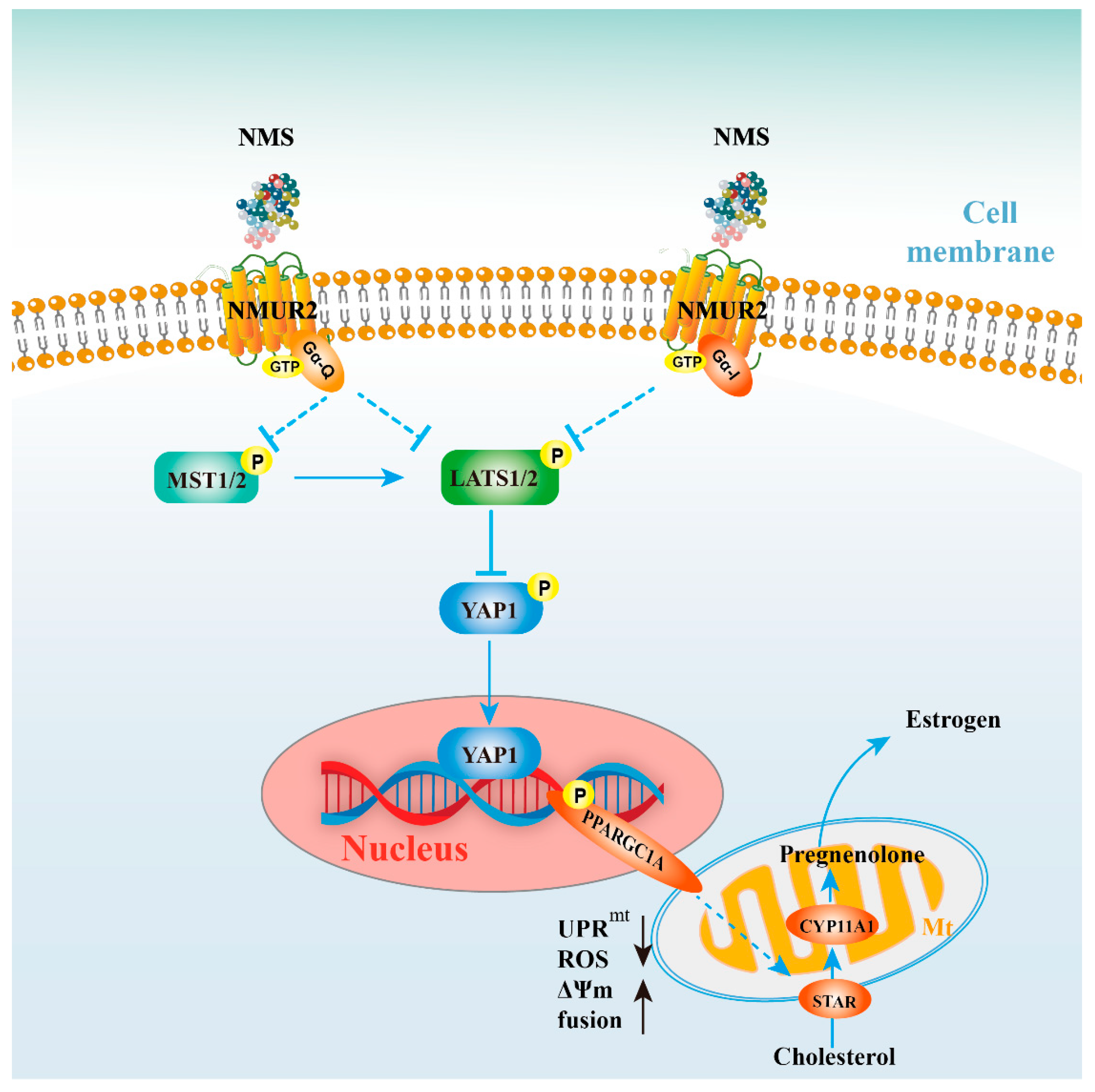 Ijms 23 13402 g008 Ijms 23 13402 g008