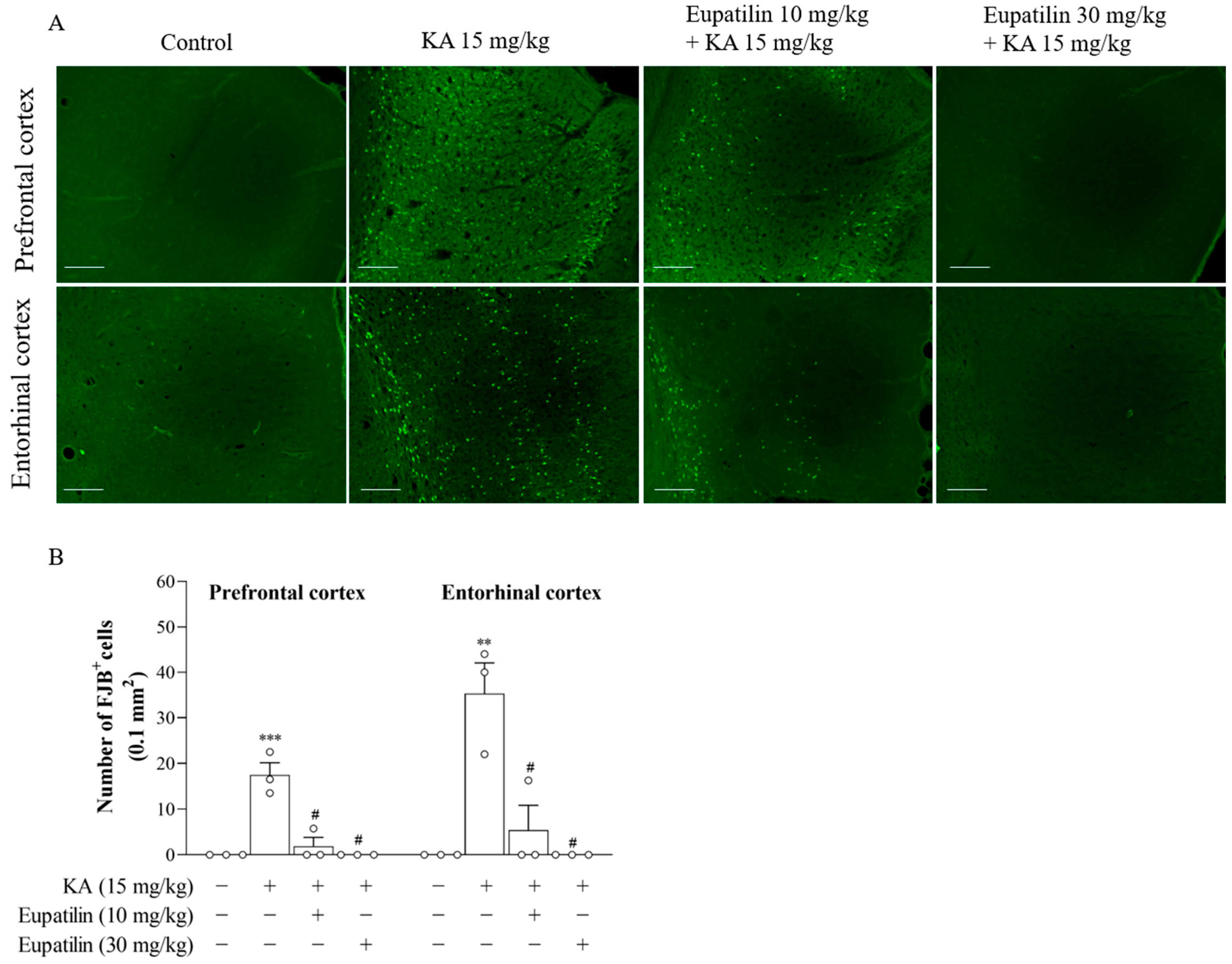 Ijms 23 13406 g004 Ijms 23 13406 g004