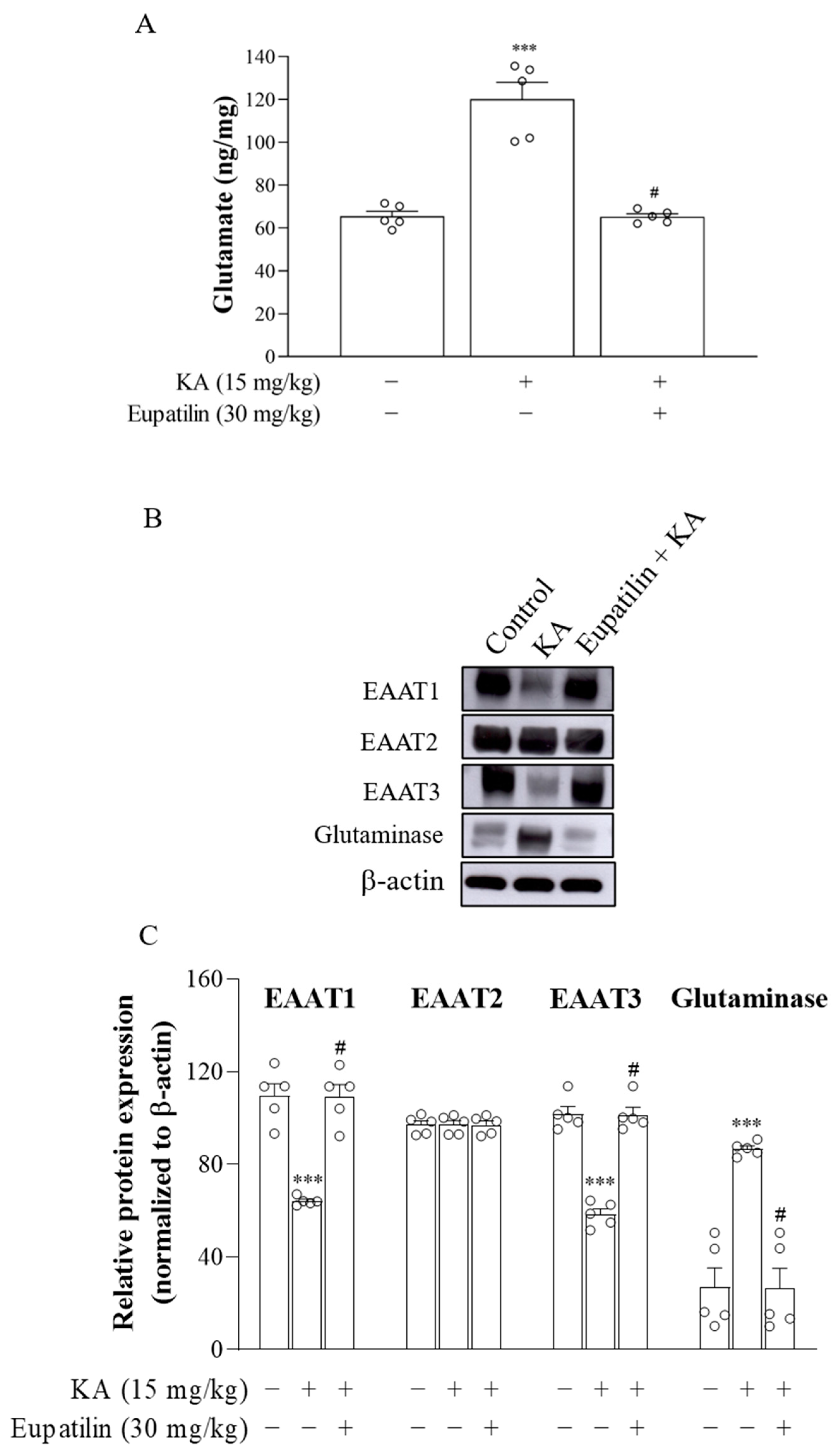 Ijms 23 13406 g005 Ijms 23 13406 g005