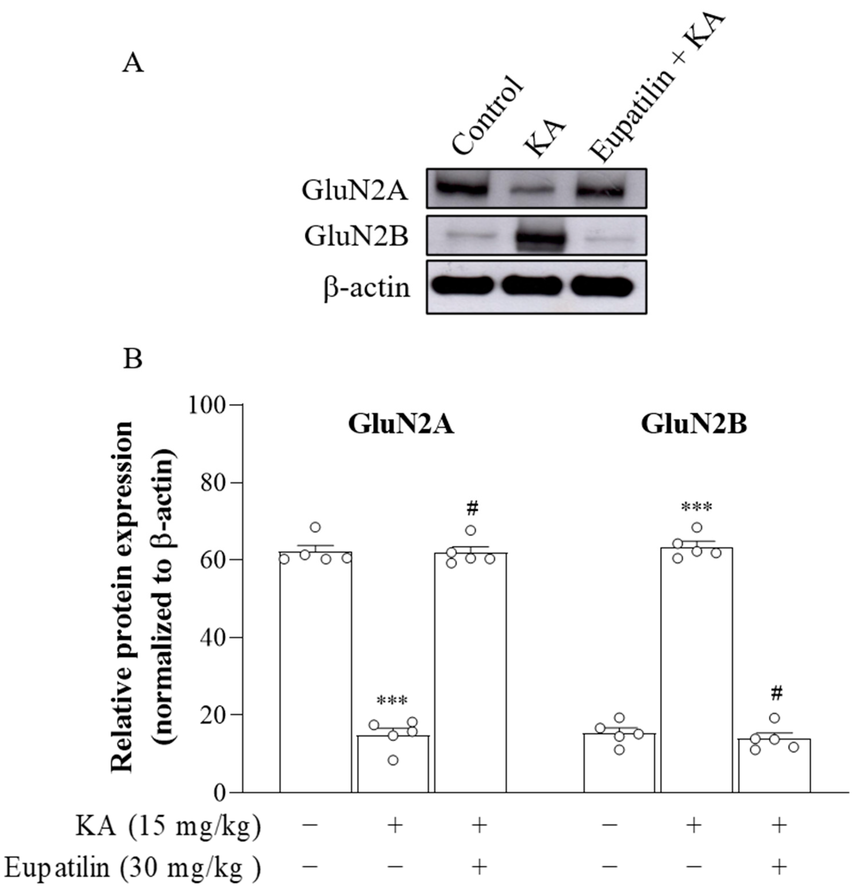 Ijms 23 13406 g006 Ijms 23 13406 g006