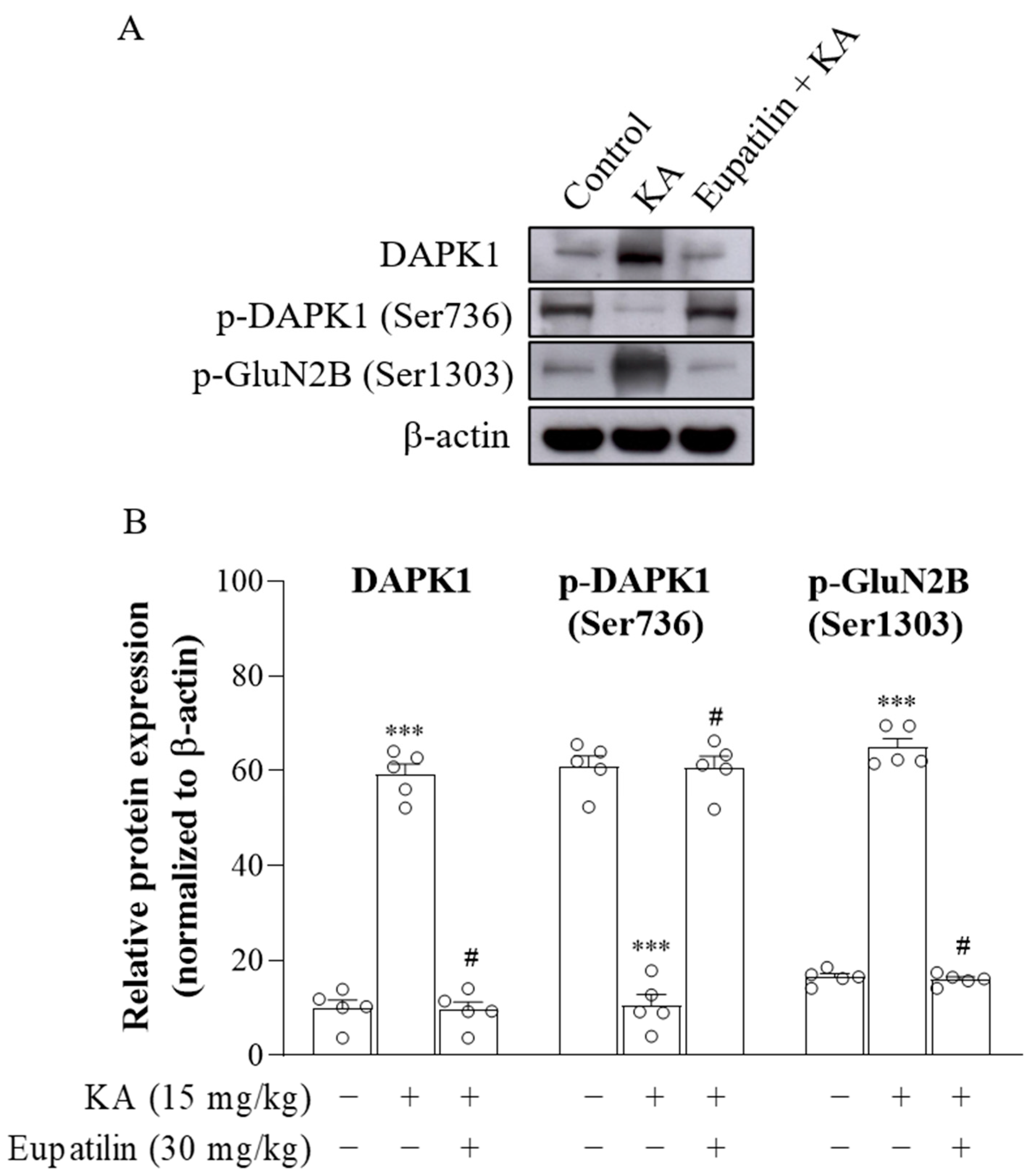 Ijms 23 13406 g007 Ijms 23 13406 g007