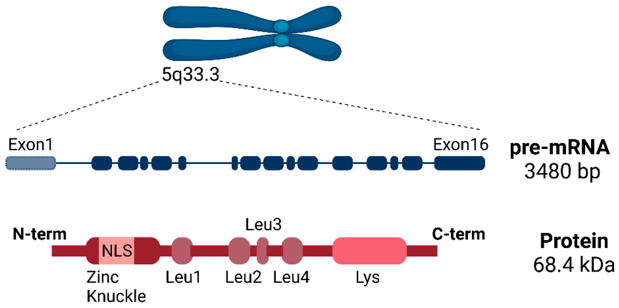 Ijms 23 13411 g002 Ijms 23 13411 g002