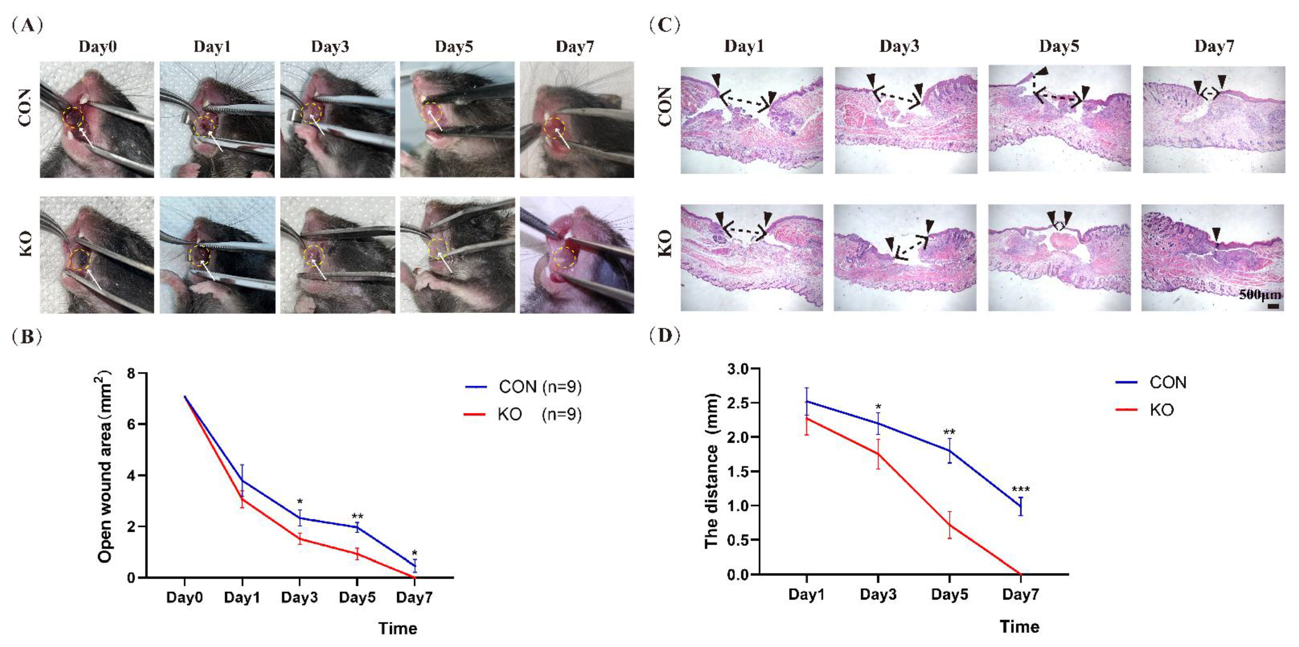 Ijms 23 13414 g002 Ijms 23 13414 g002