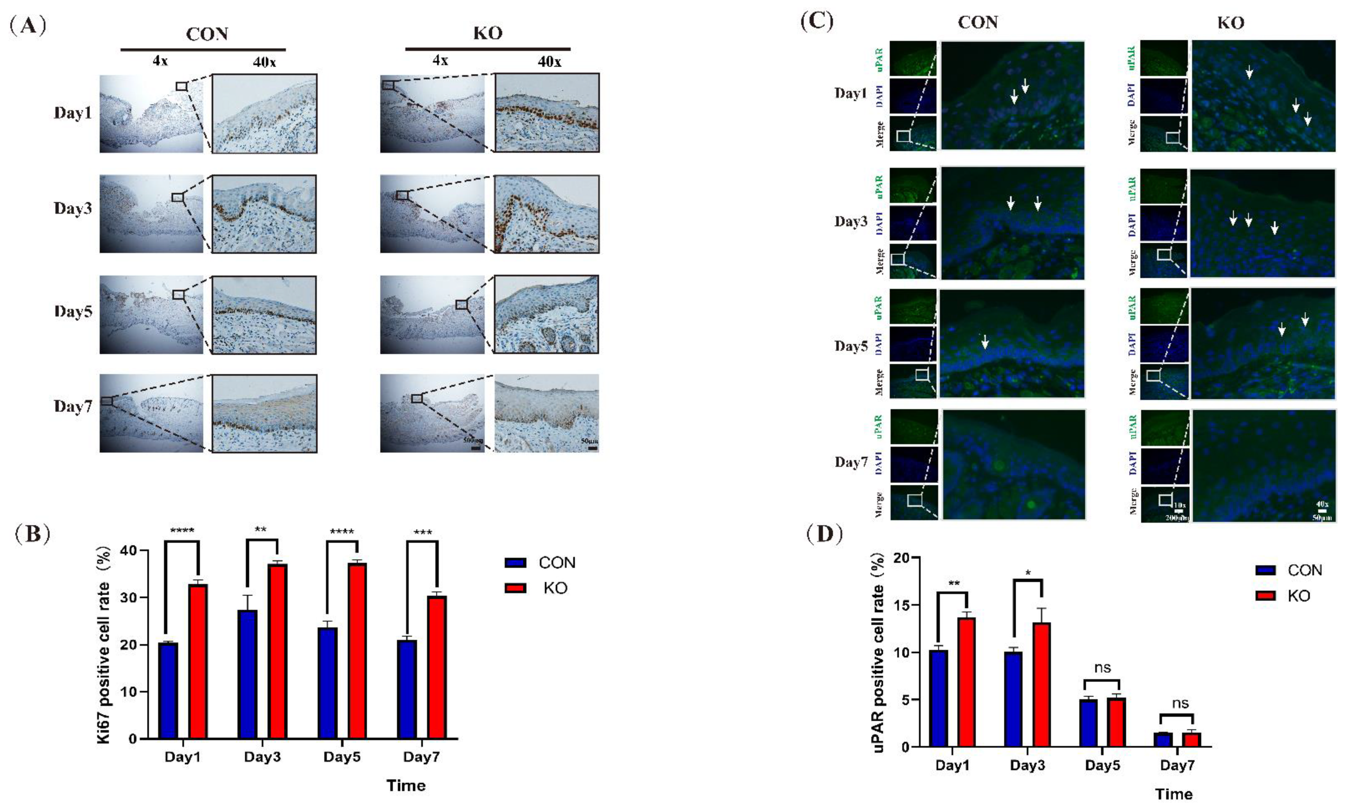 Ijms 23 13414 g003 Ijms 23 13414 g003