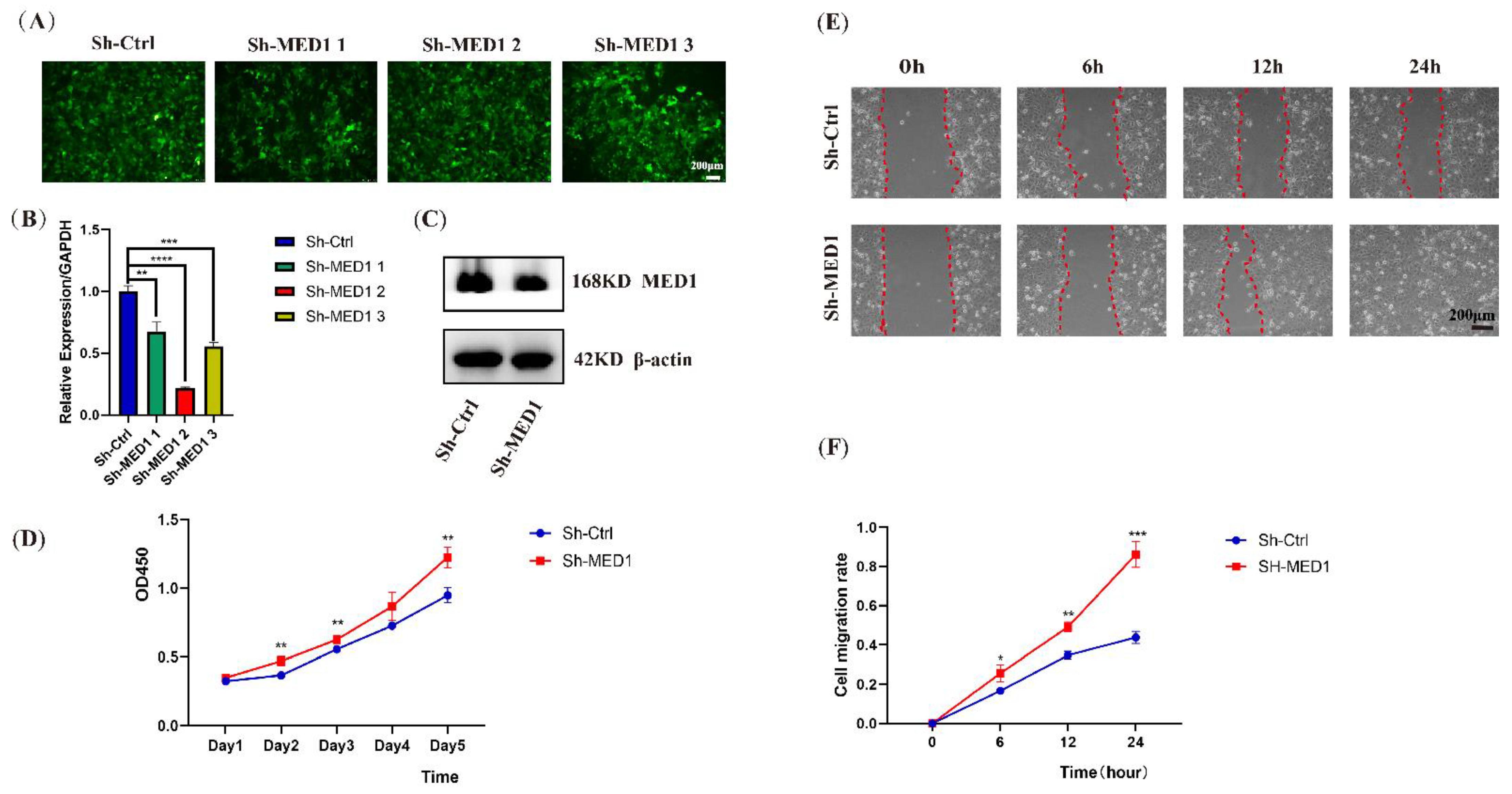 Ijms 23 13414 g004 Ijms 23 13414 g004