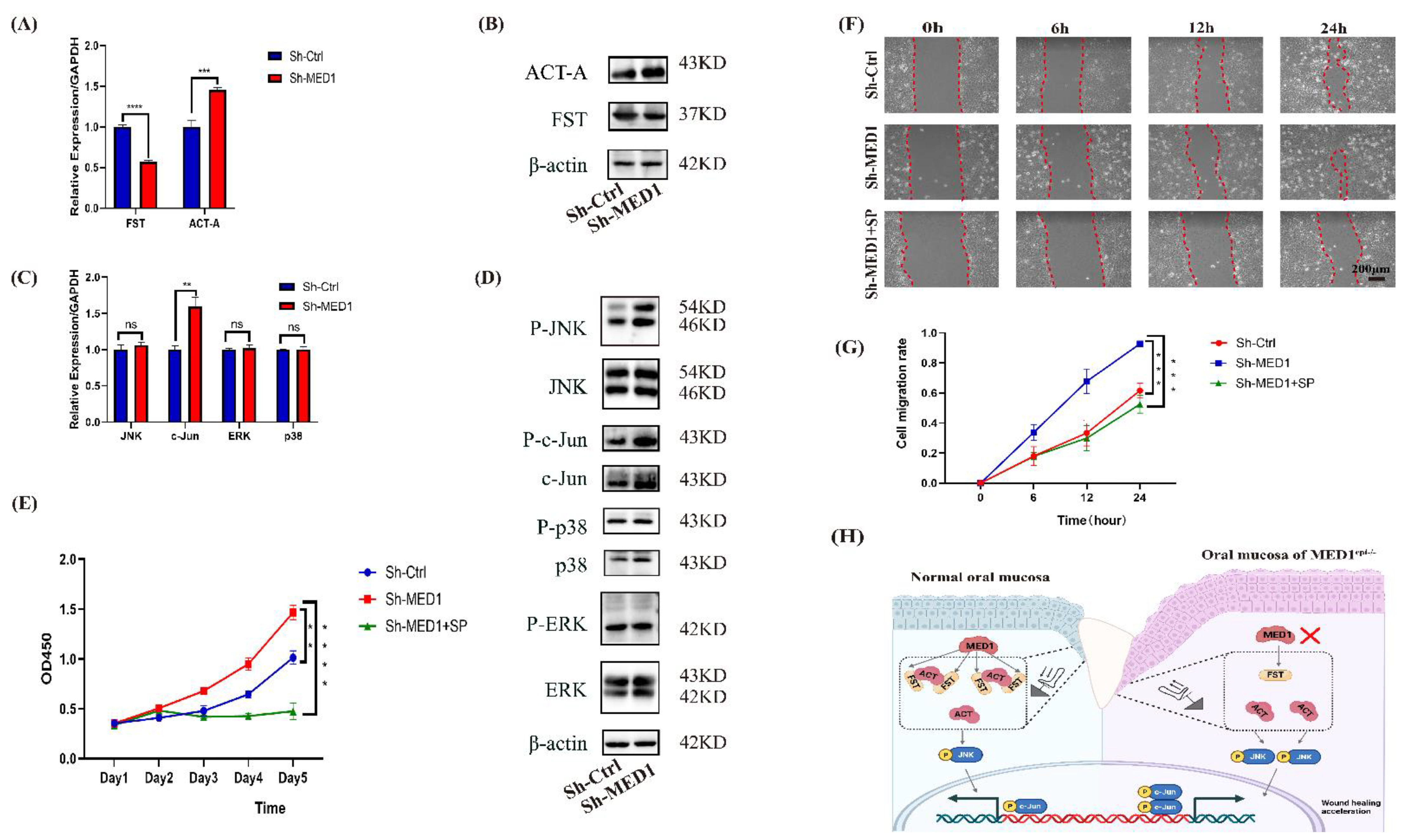 Ijms 23 13414 g005 Ijms 23 13414 g005