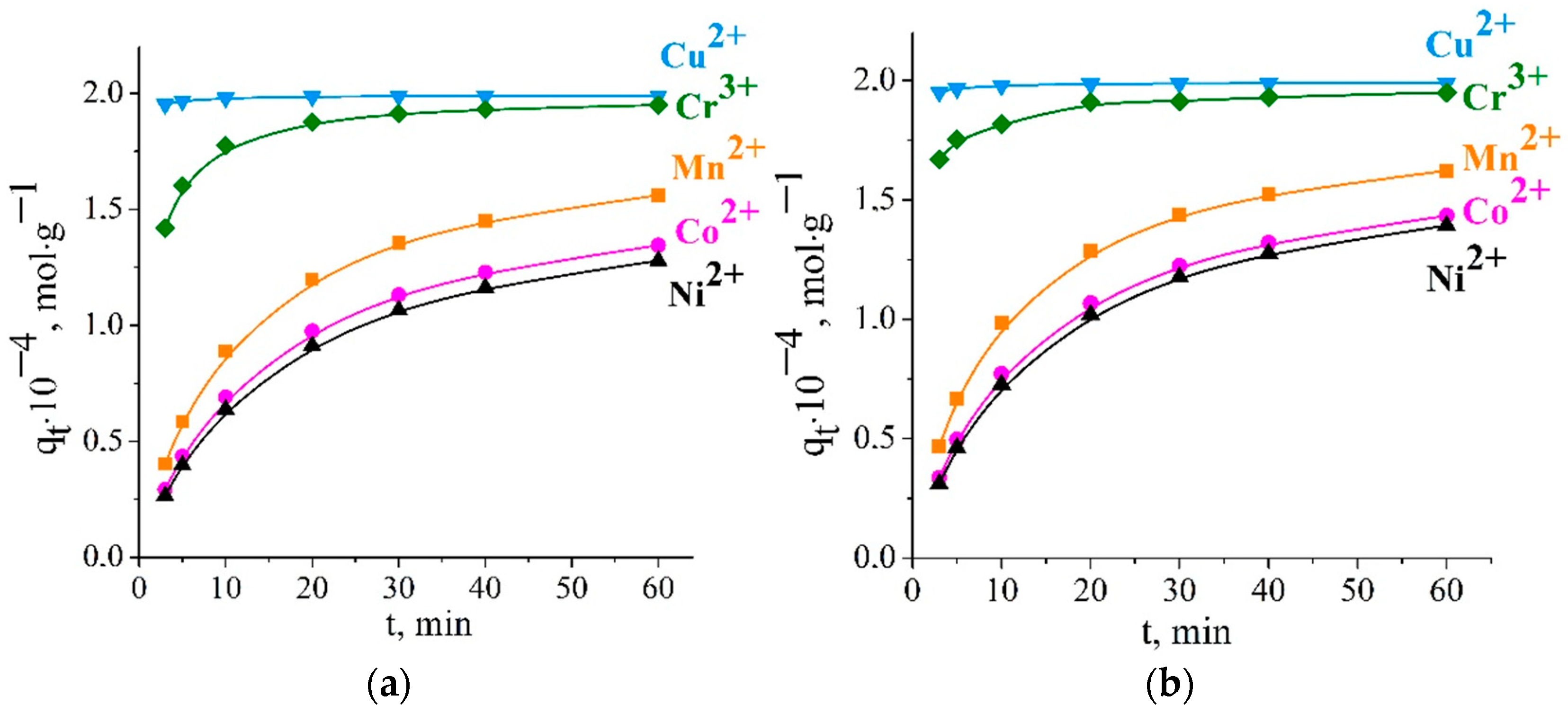 Ijms 23 13416 g002 Ijms 23 13416 g002