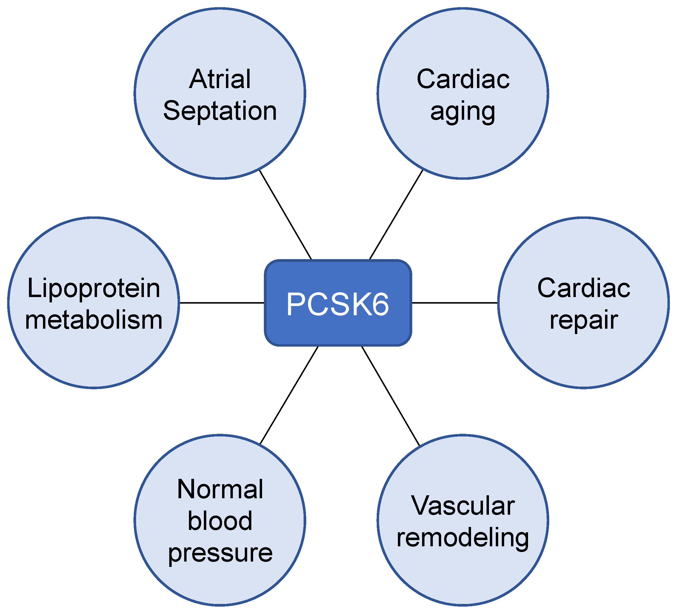 Ijms 23 13429 g003 Ijms 23 13429 g003