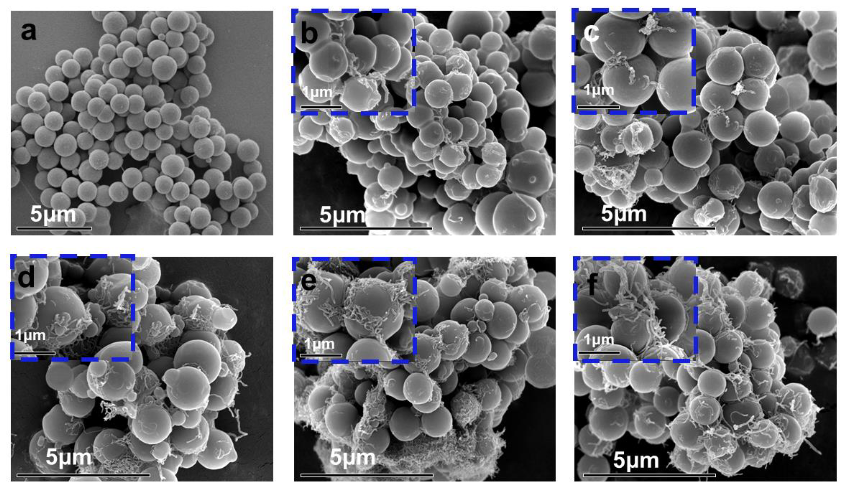 Ijms 23 13434 g002 550