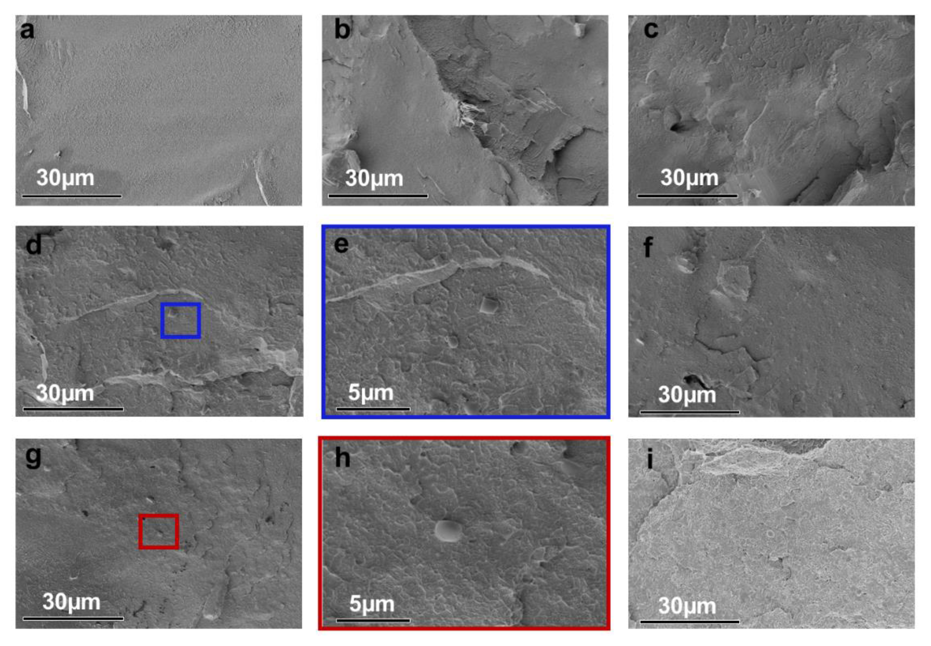 Ijms 23 13434 g003 550