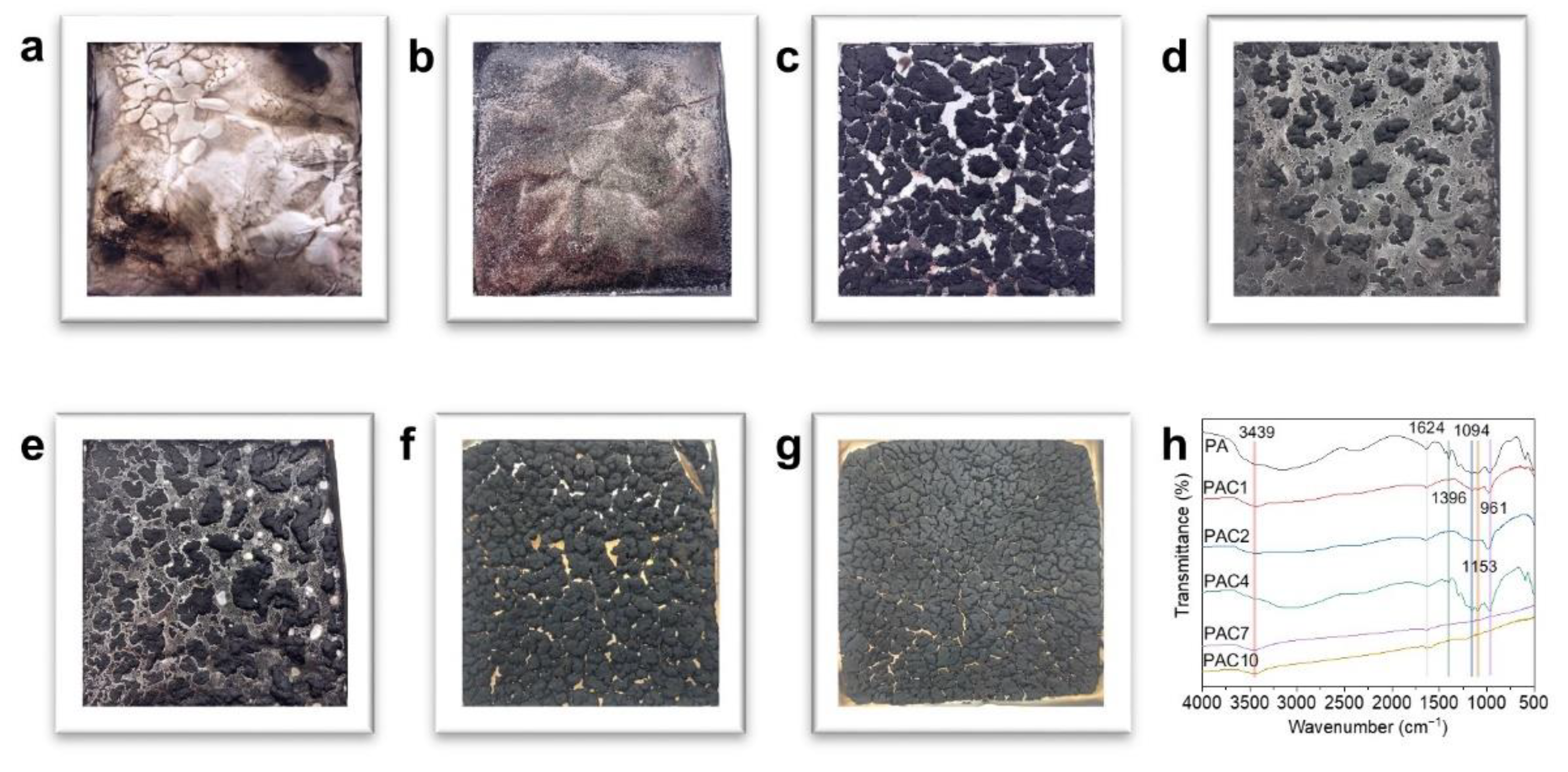 Ijms 23 13434 g007 550