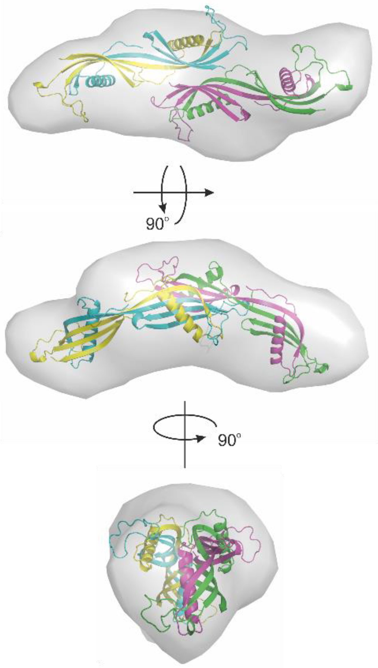 Ijms 23 13441 g007 Ijms 23 13441 g007