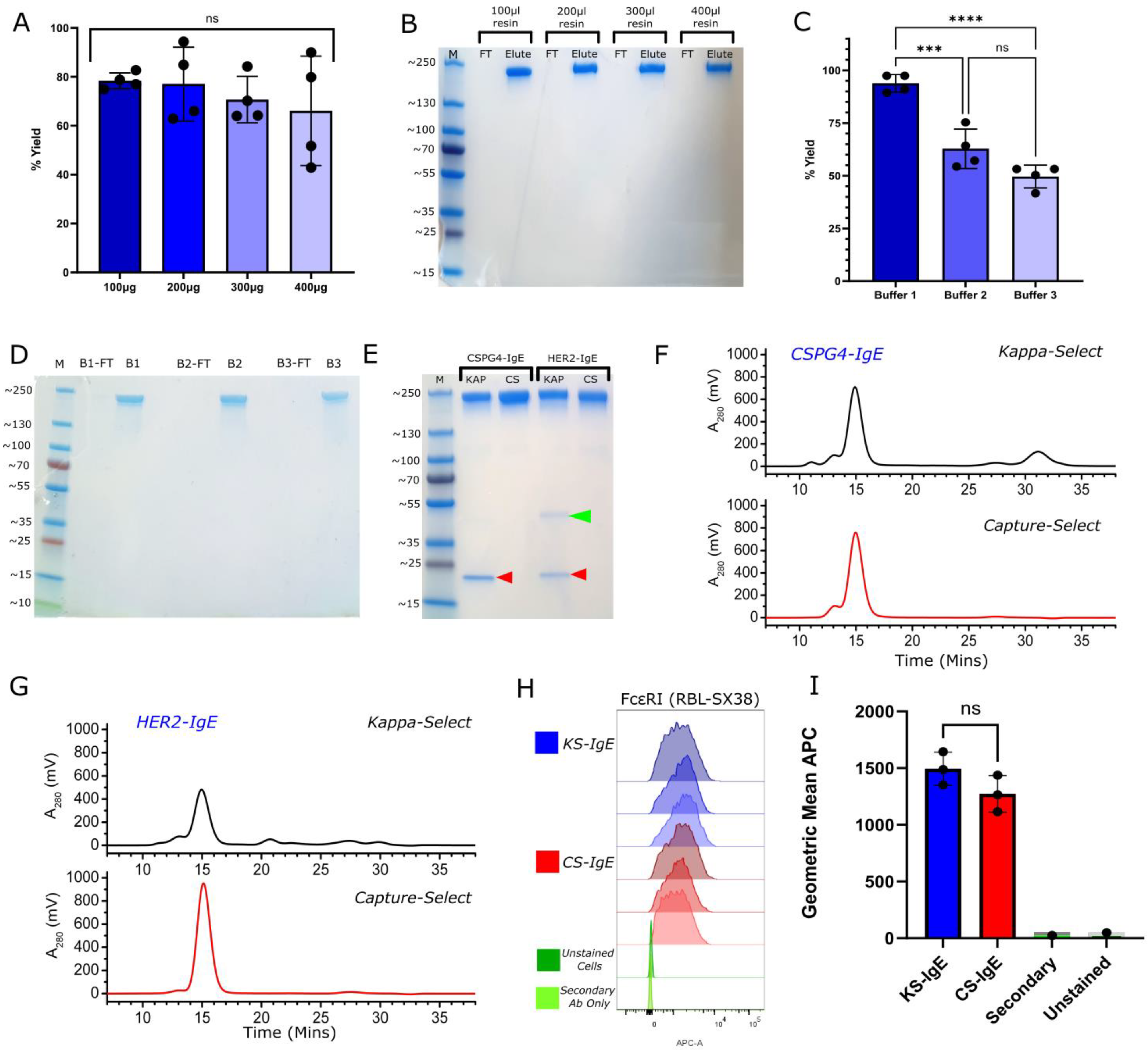Ijms 23 13455 g001 Ijms 23 13455 g001