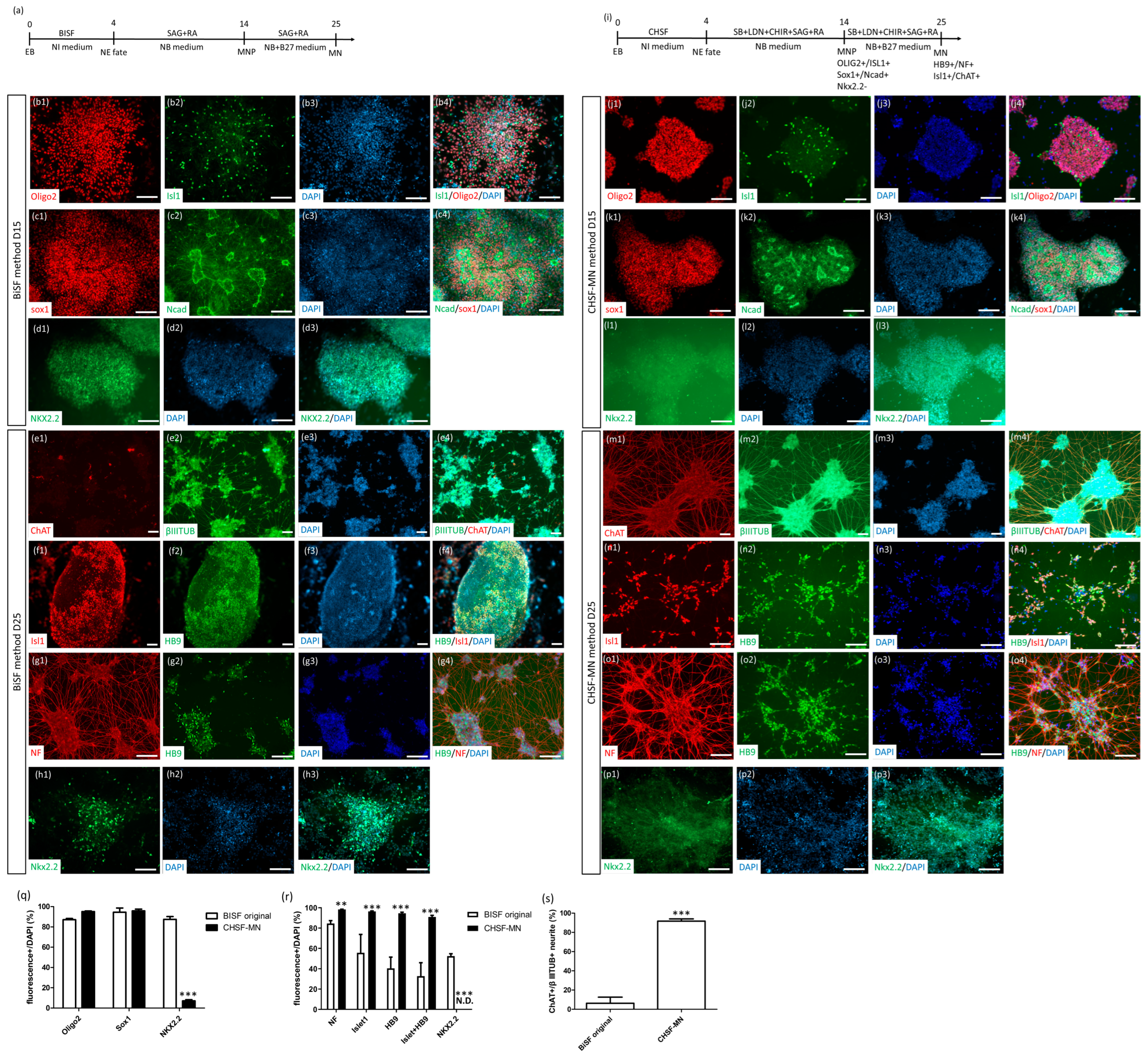 Ijms 23 13462 g001 Ijms 23 13462 g001