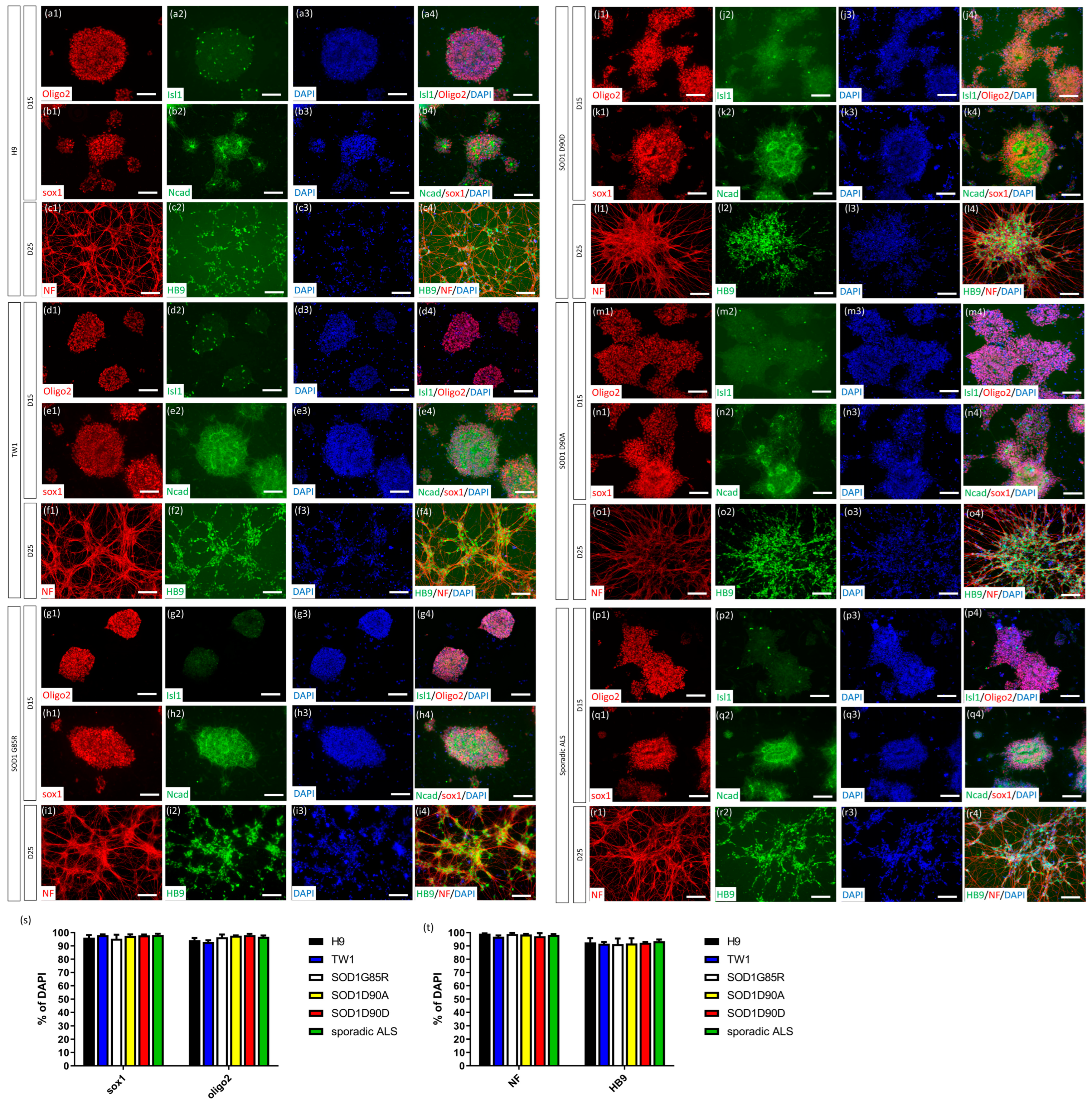 Ijms 23 13462 g002 Ijms 23 13462 g002