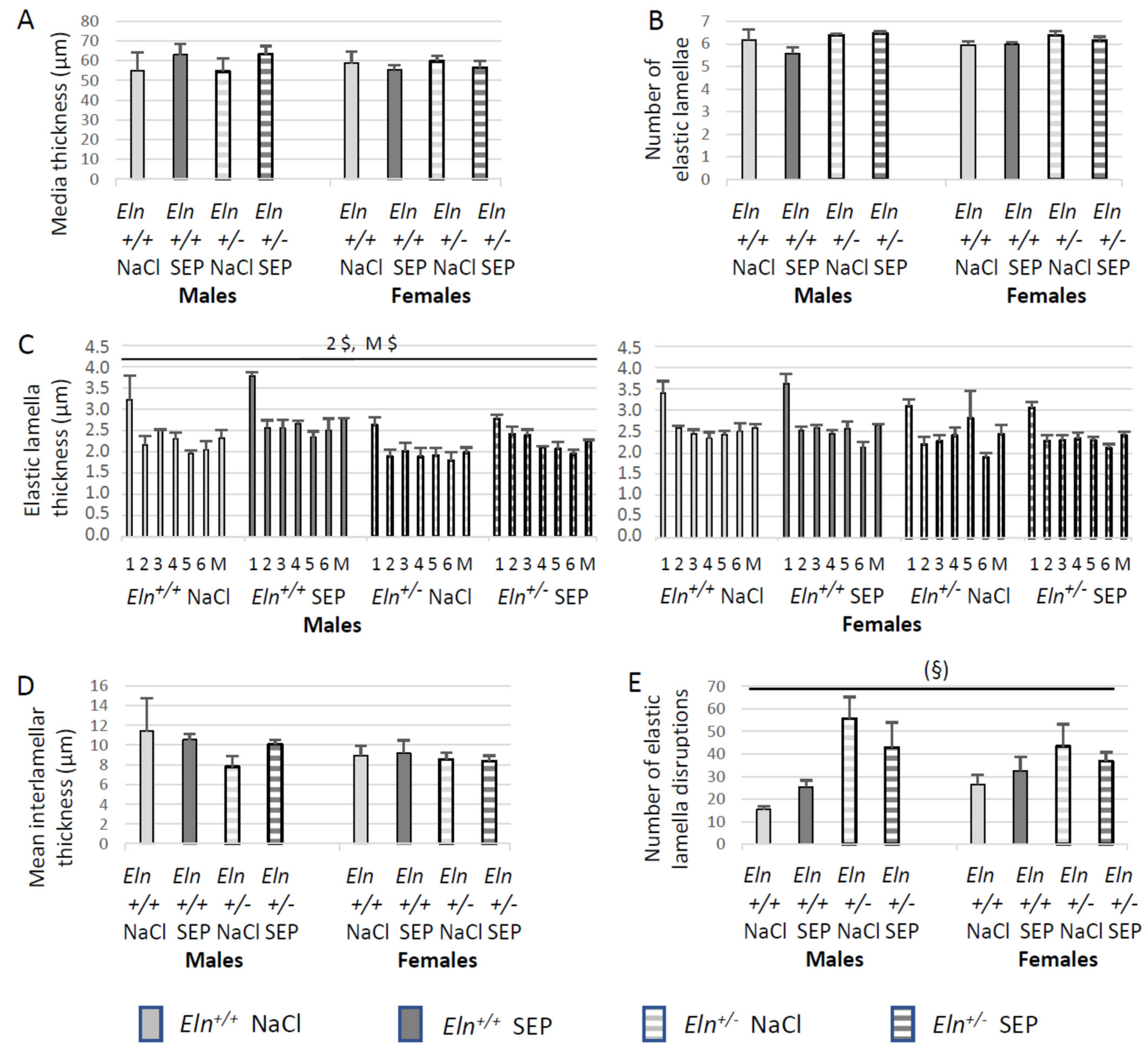 Ijms 23 13464 g006 Ijms 23 13464 g006