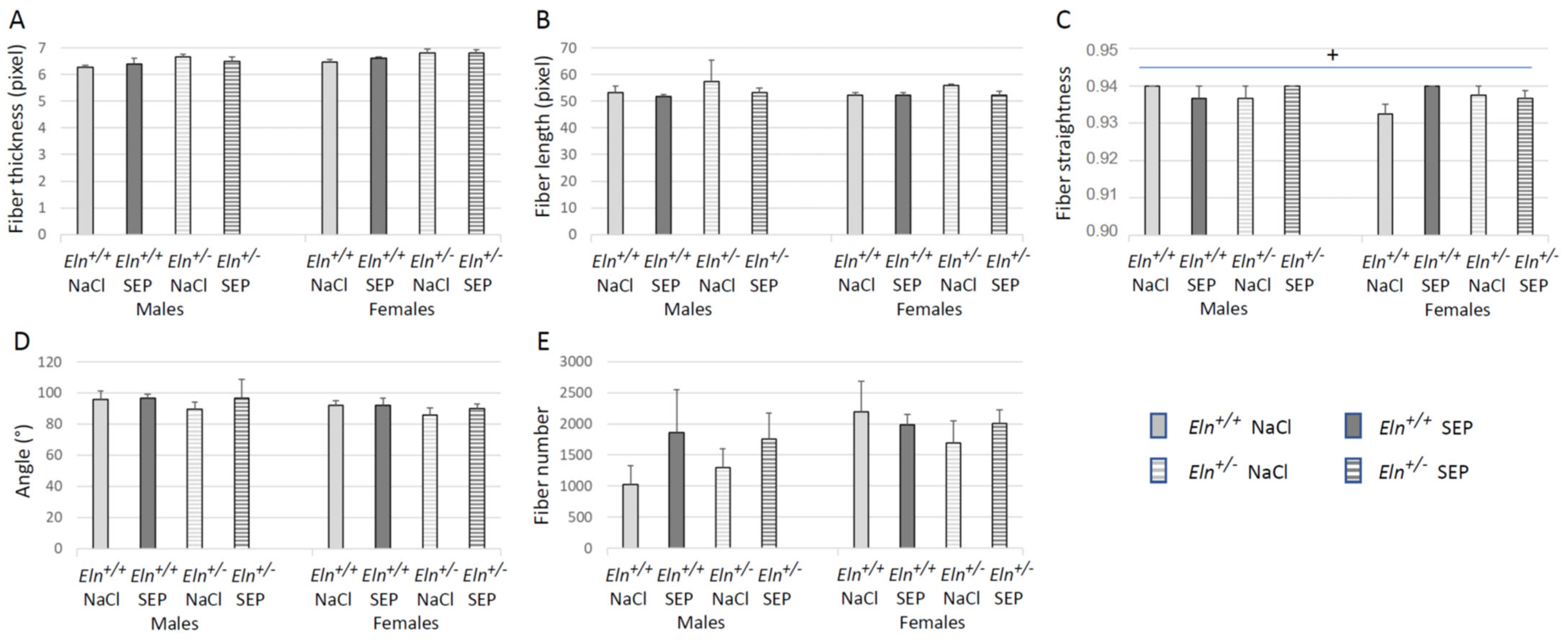 Ijms 23 13464 g008 Ijms 23 13464 g008