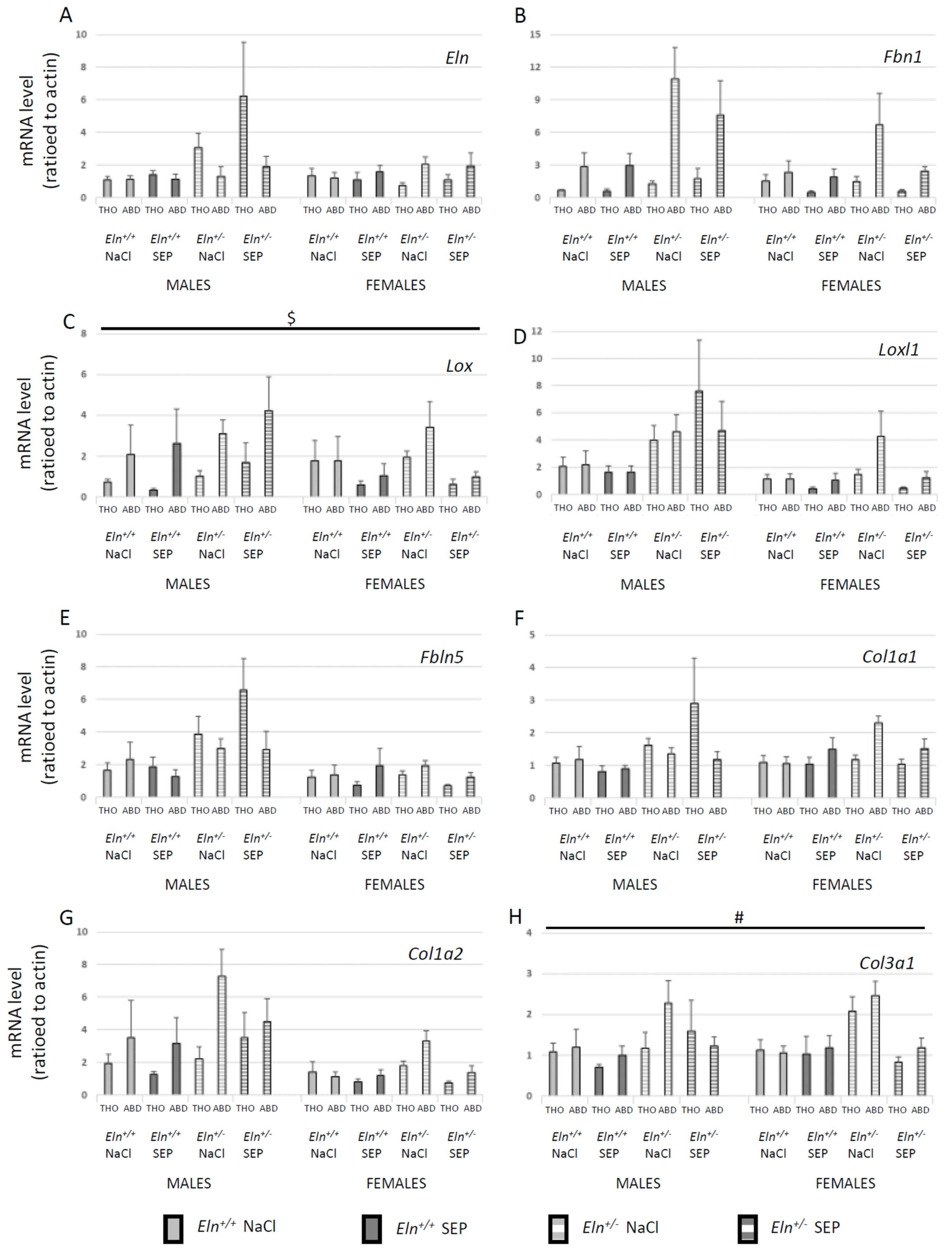 Ijms 23 13464 g009 Ijms 23 13464 g009